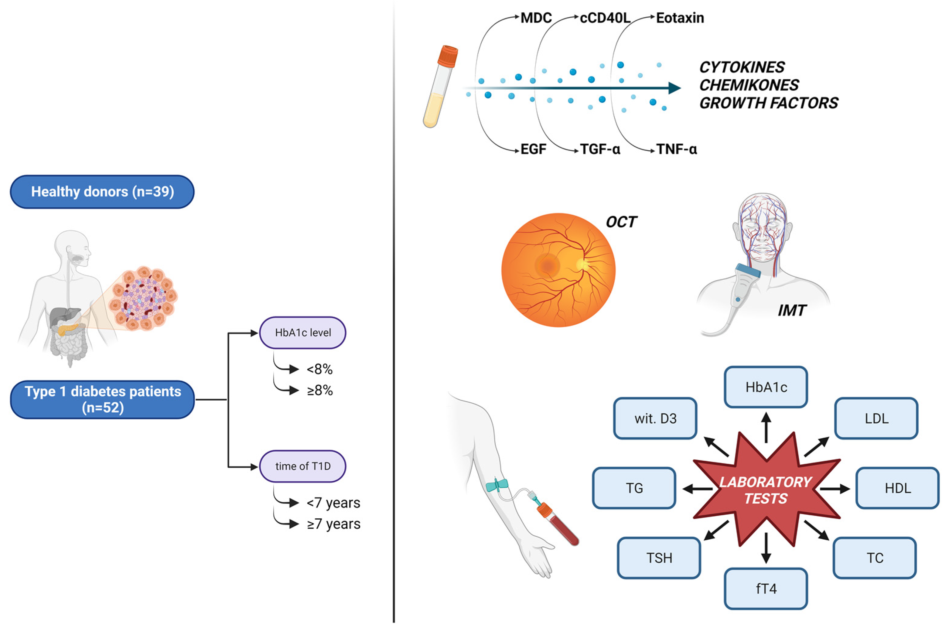 Ijms 25 01565 g005 Ijms 25 01565 g005