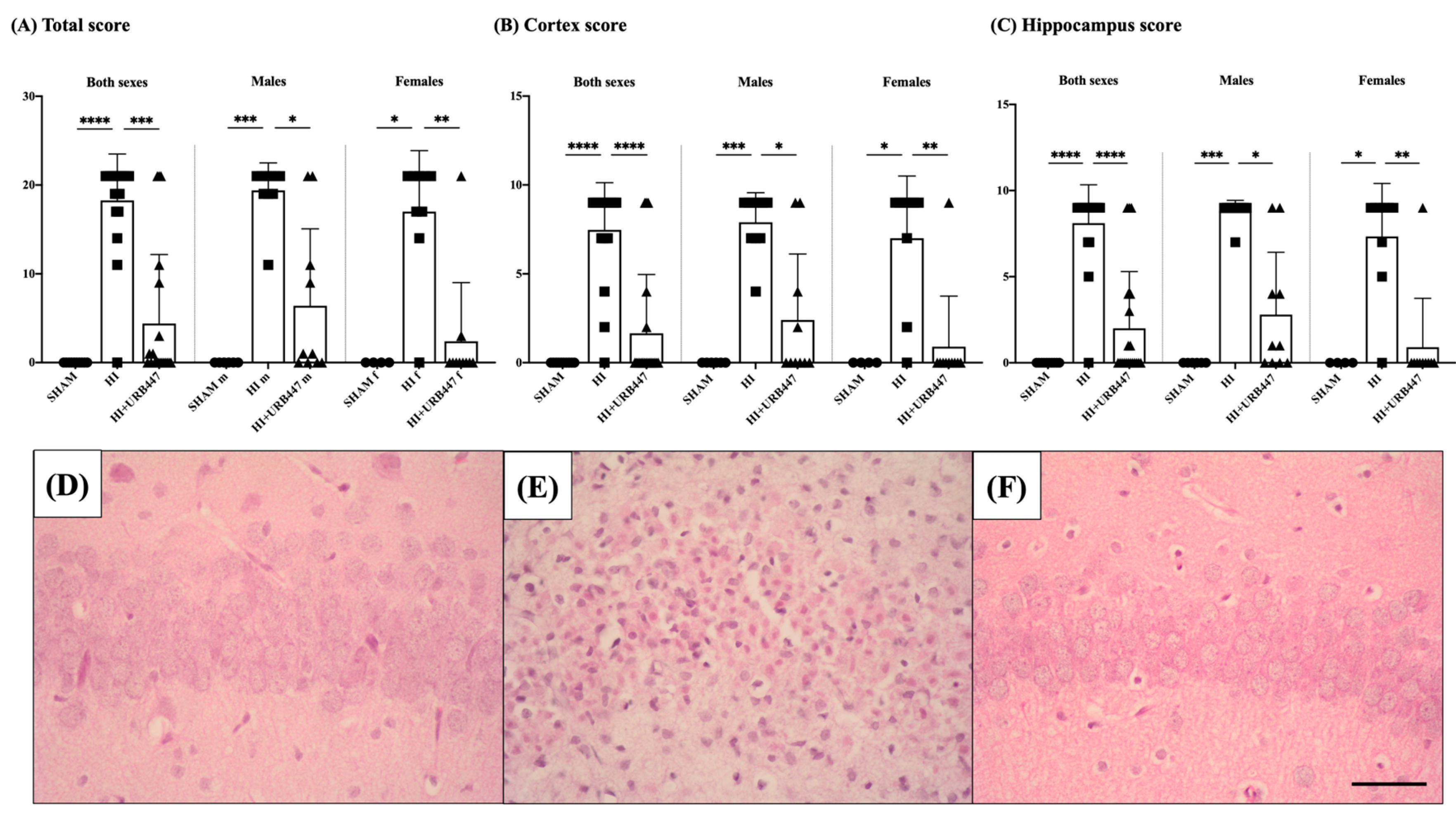 Ijms 25 01607 g002 Ijms 25 01607 g002