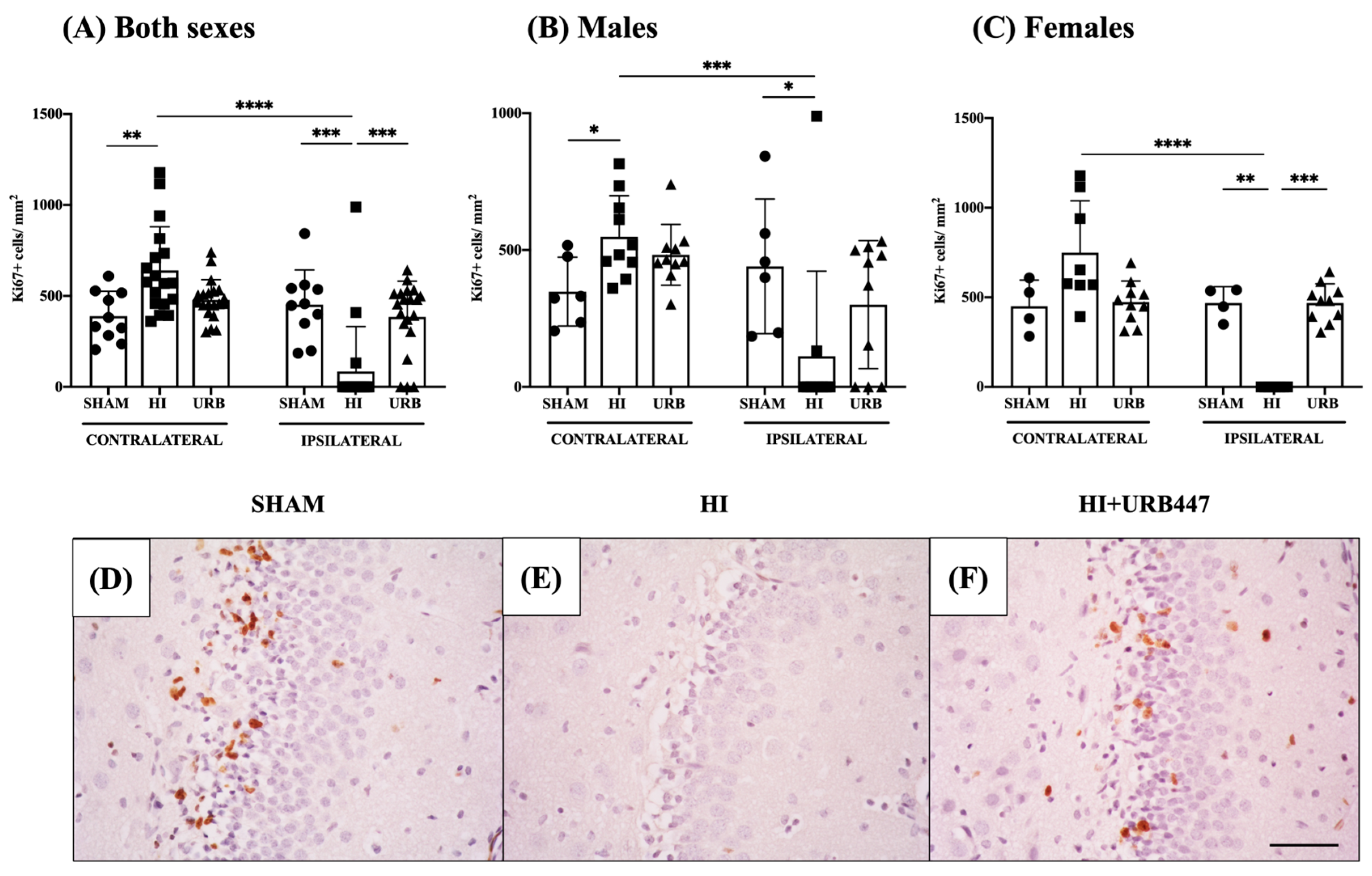 Ijms 25 01607 g003 Ijms 25 01607 g003