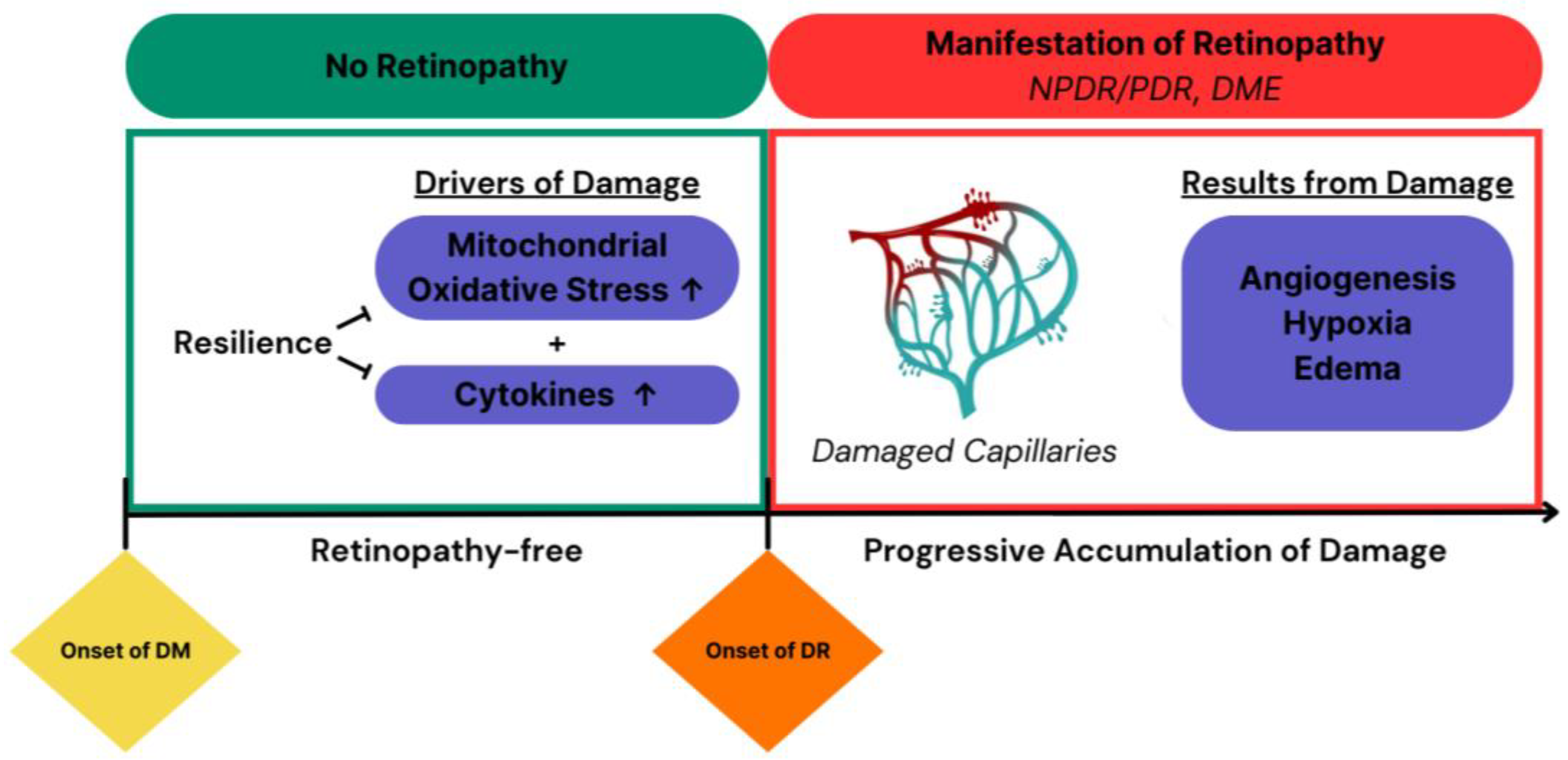 IJMS Free FullText Manifestation of Pathology in Animal Models of