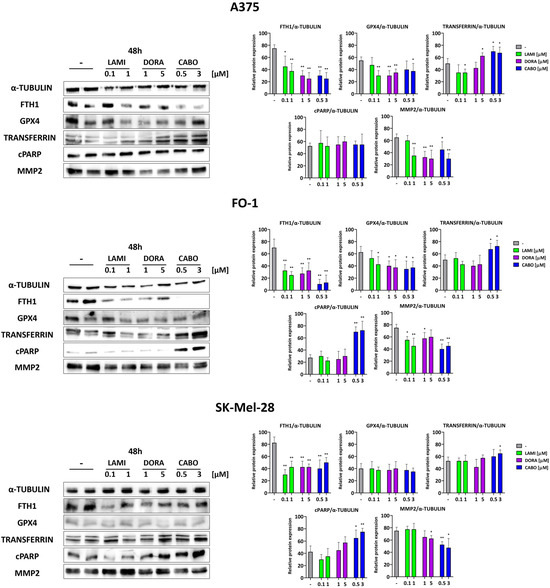 Lamivudine, Doravirine, and Cabotegravir Downregulate the Expression of Human Endogenous Retroviruses (HERVs), Inhibit Cell... 