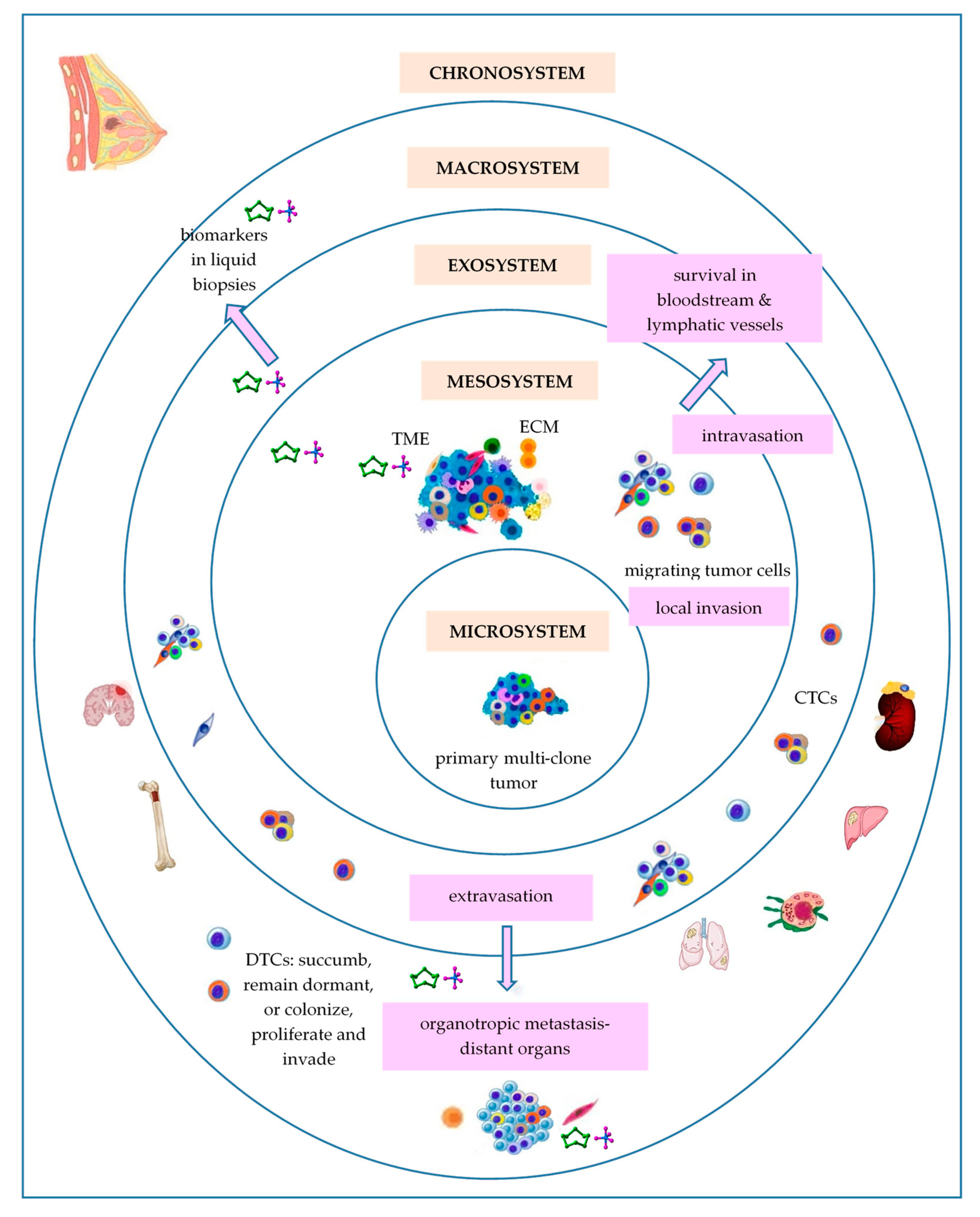 Ijms 25 01628 g001 Ijms 25 01628 g001