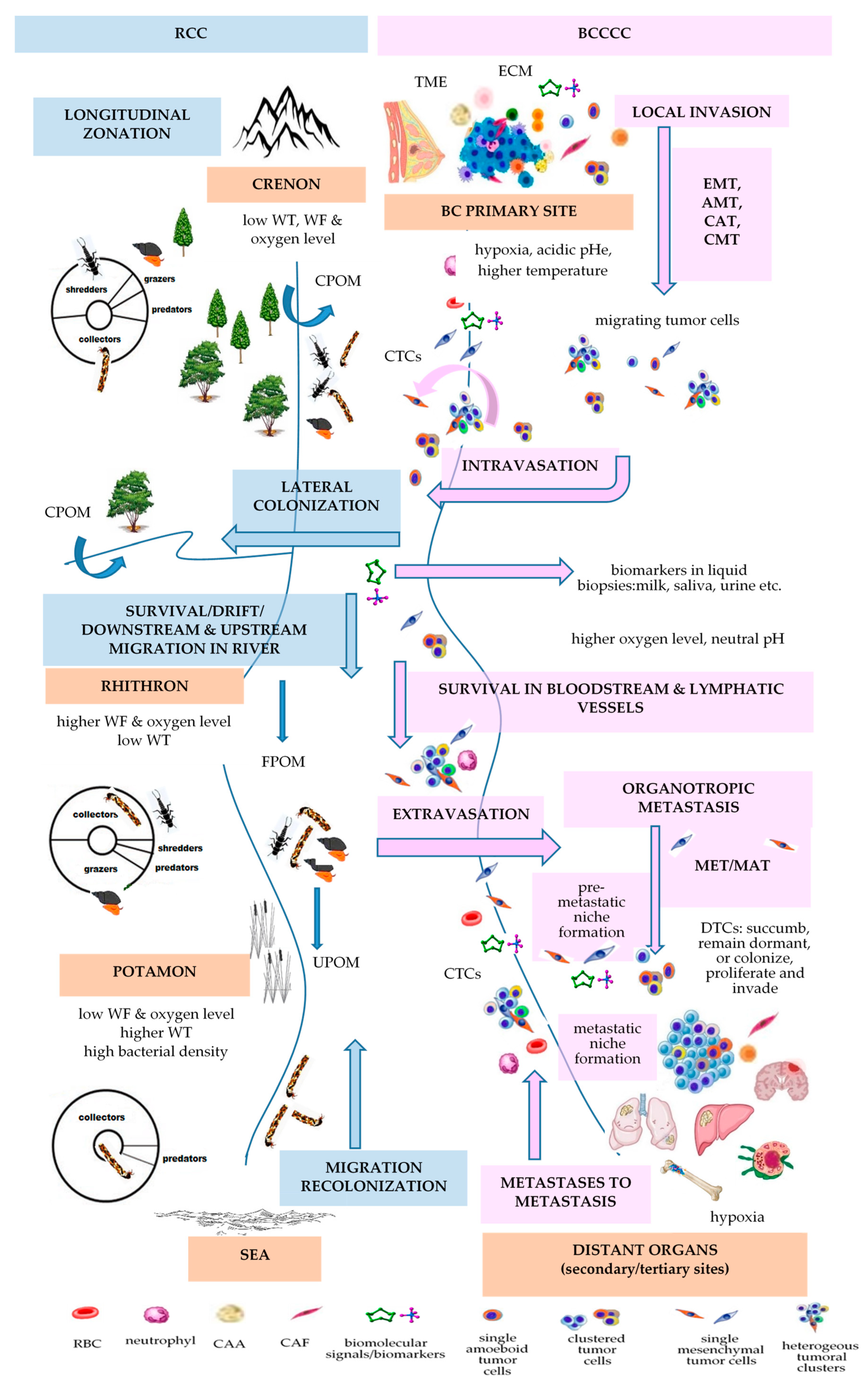 Ijms 25 01628 g002 Ijms 25 01628 g002