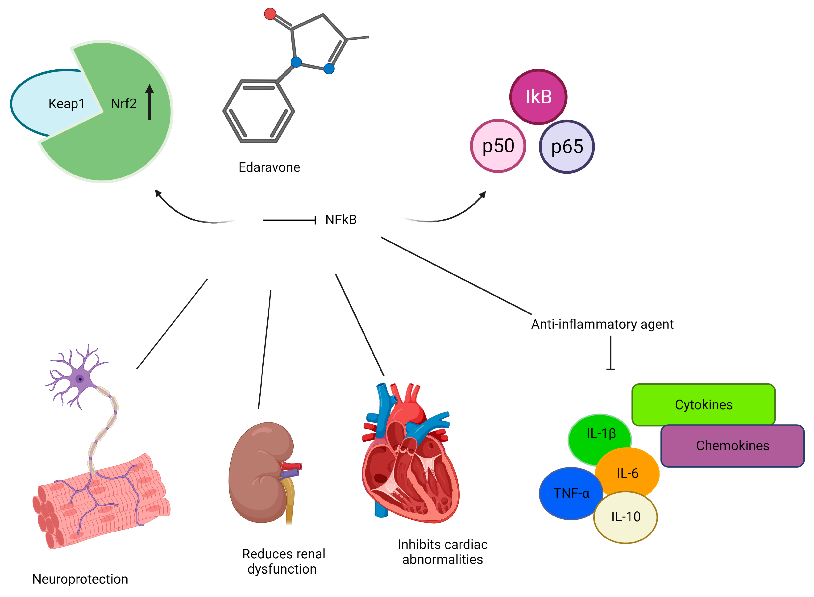 Ijms 25 01633 g003 Ijms 25 01633 g003