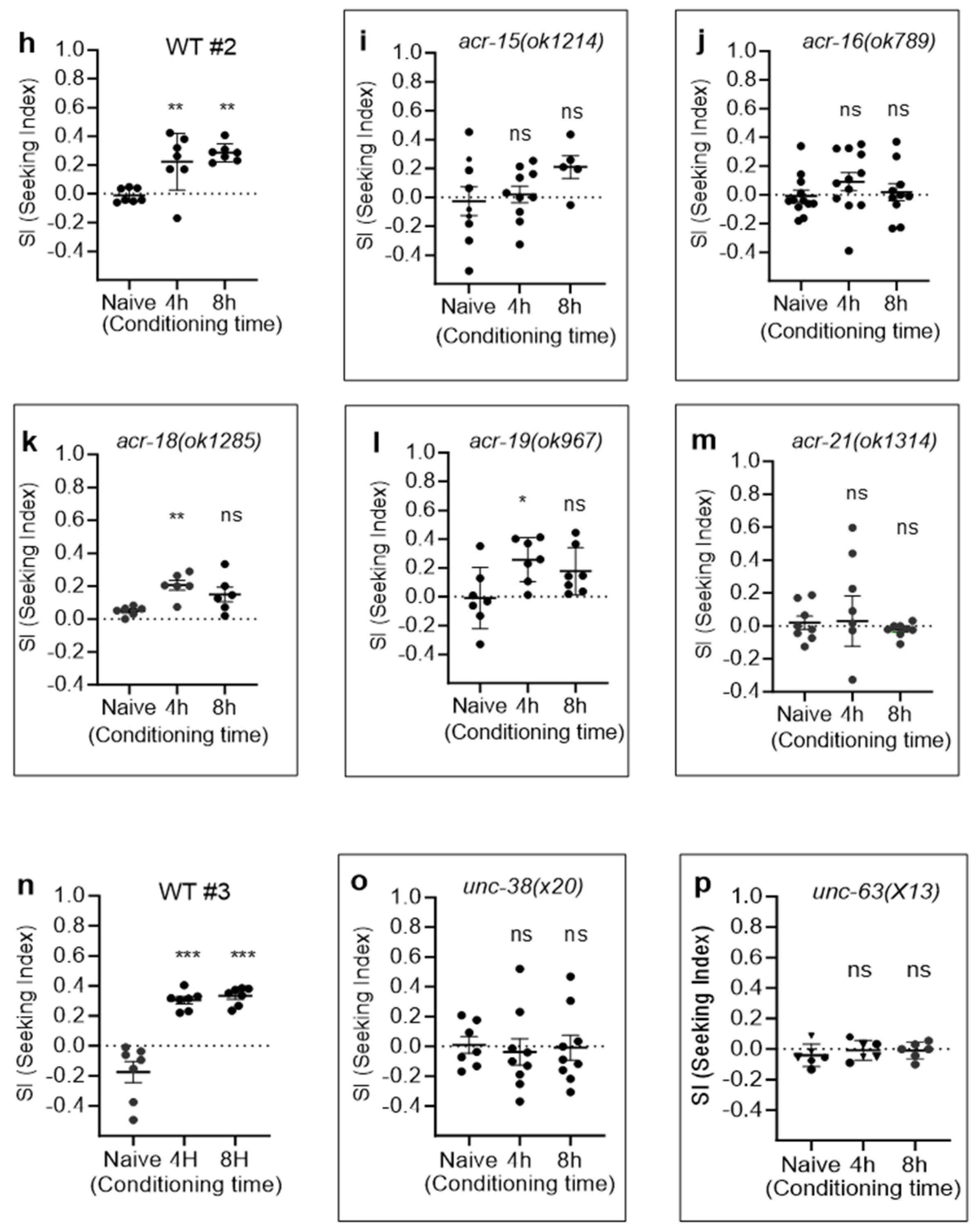 Ijms 25 01634 g005b Ijms 25 01634 g005b