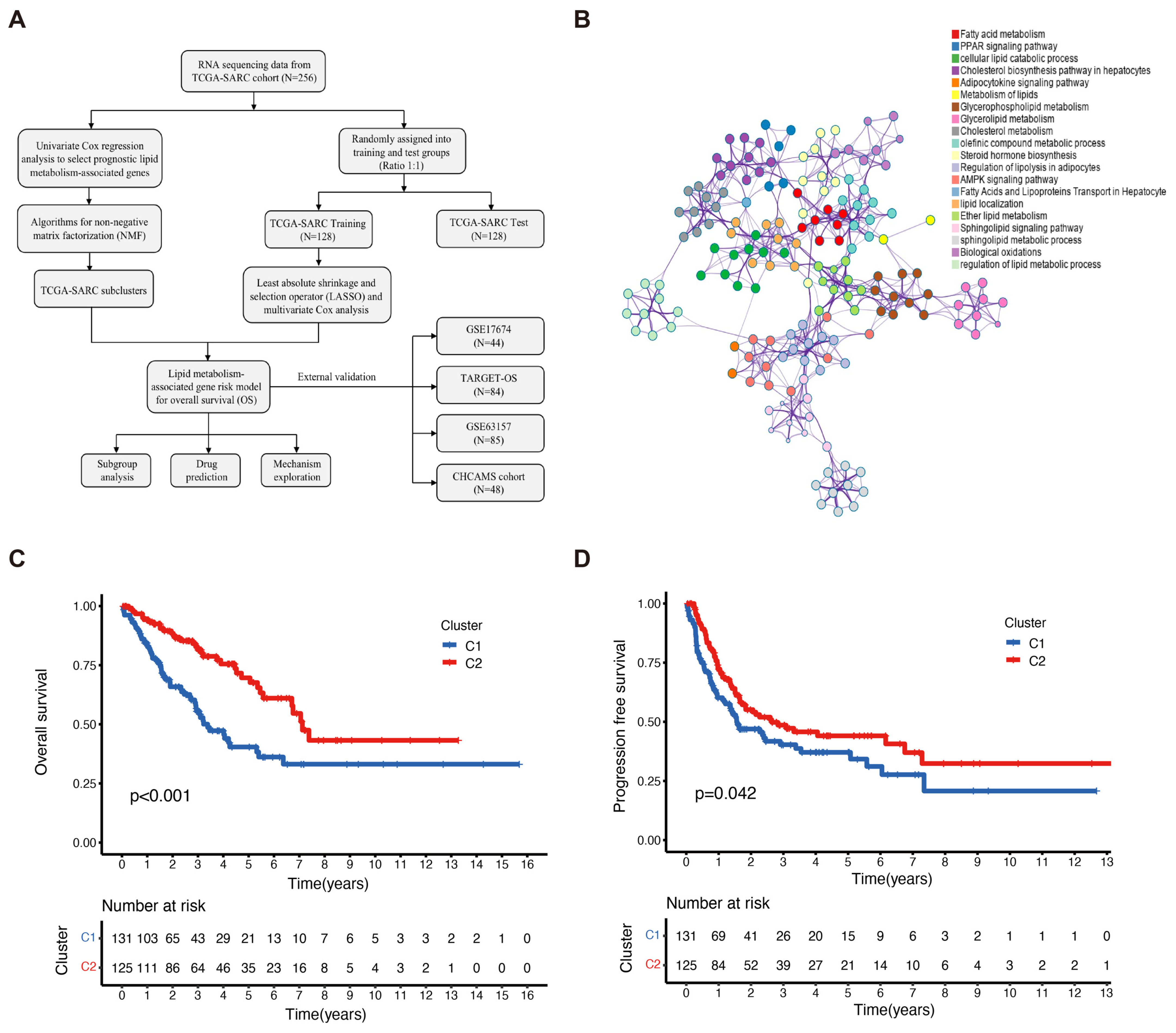 Ijms 25 01643 g001 Ijms 25 01643 g001