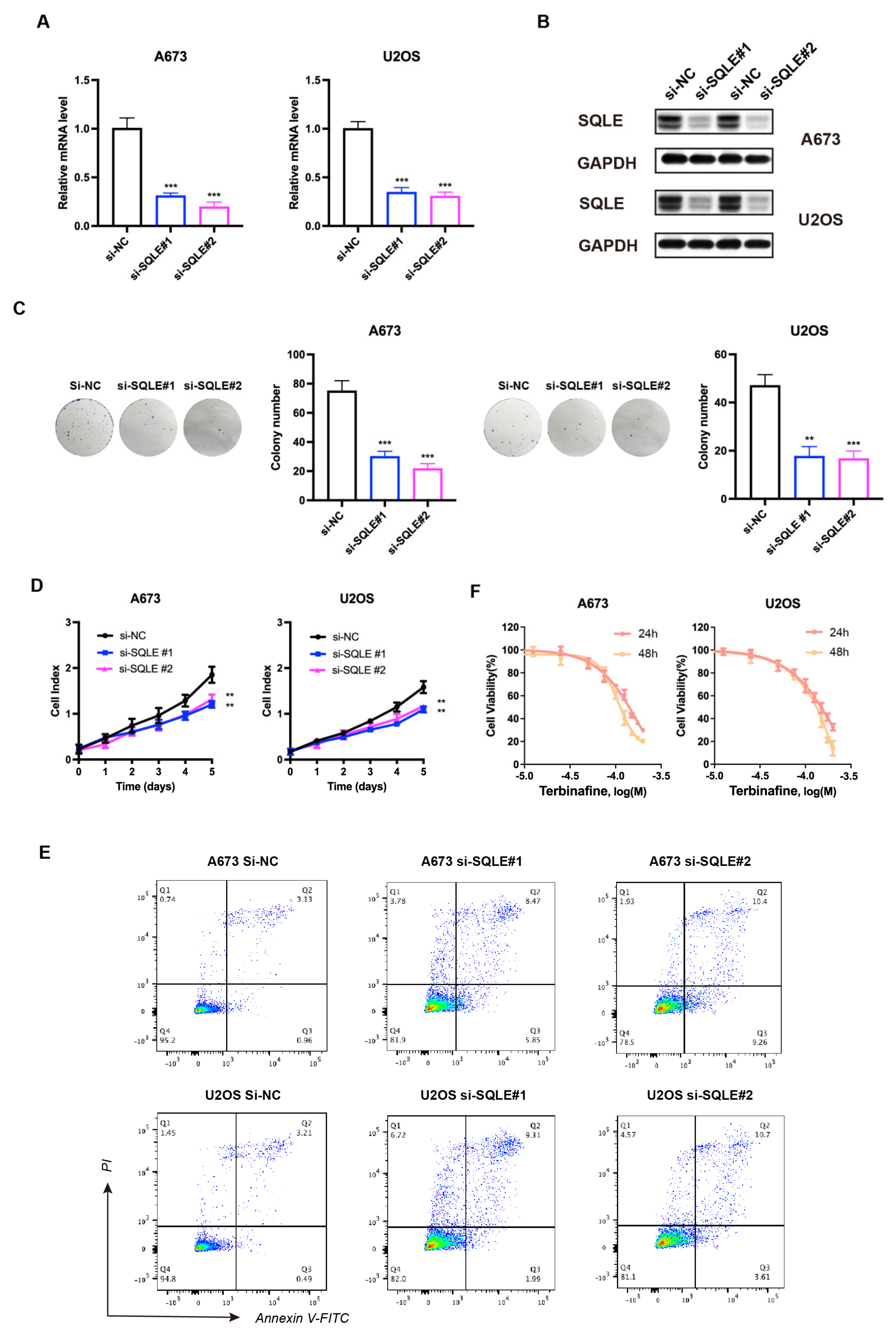 Ijms 25 01643 g007 Ijms 25 01643 g007