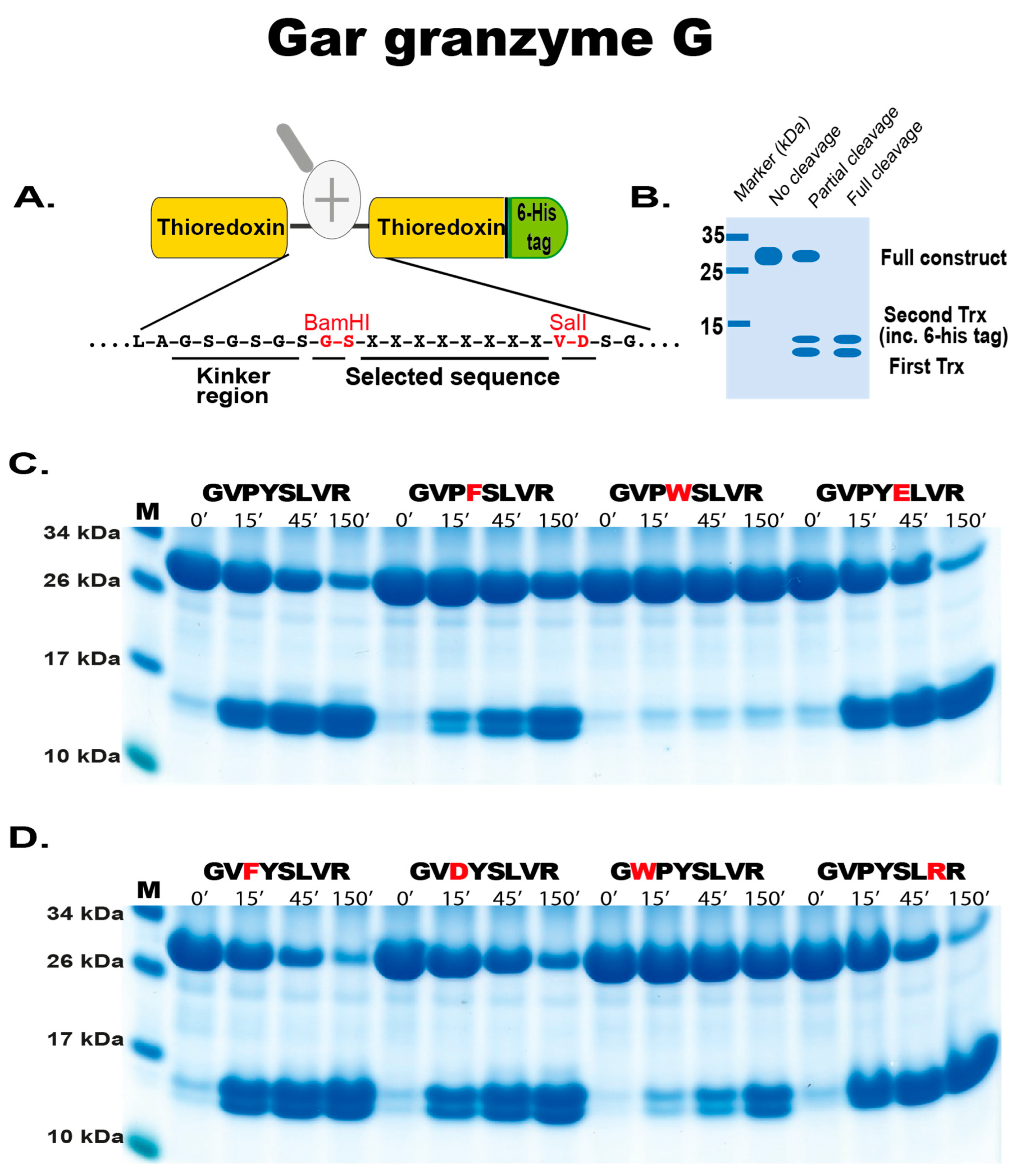 Ijms 25 01669 g005 Ijms 25 01669 g005