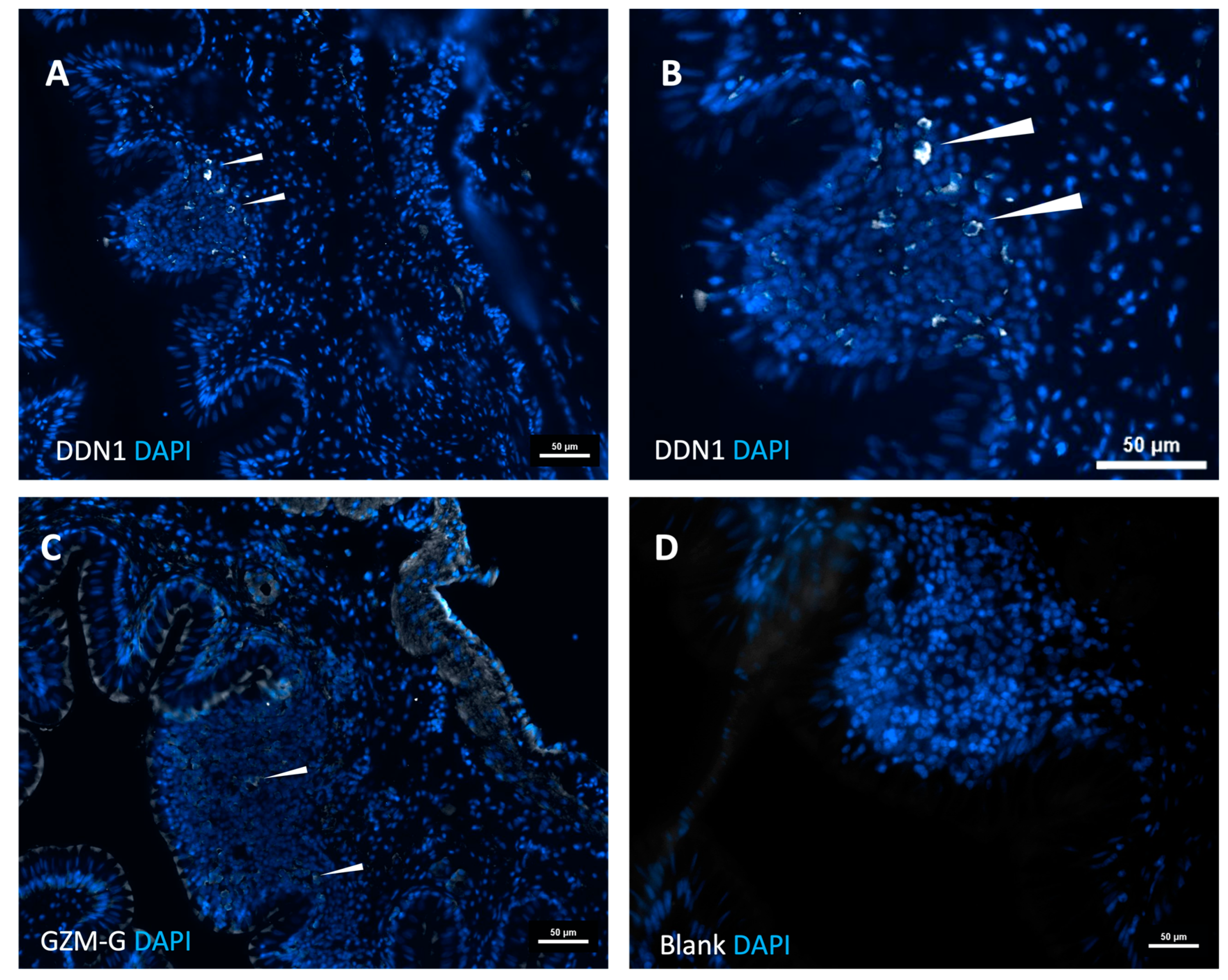 Ijms 25 01669 g008 Ijms 25 01669 g008