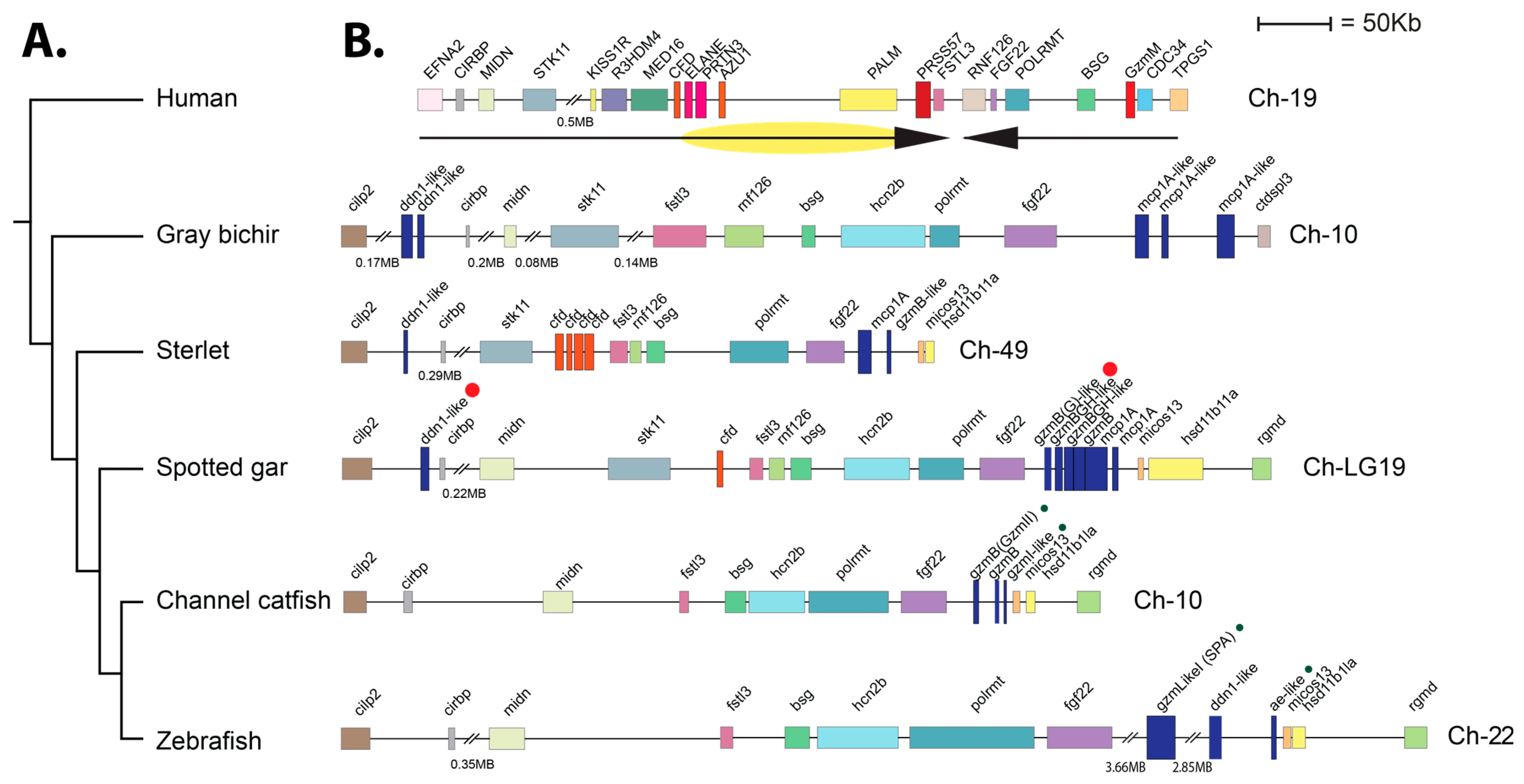 Ijms 25 01669 g009 Ijms 25 01669 g009