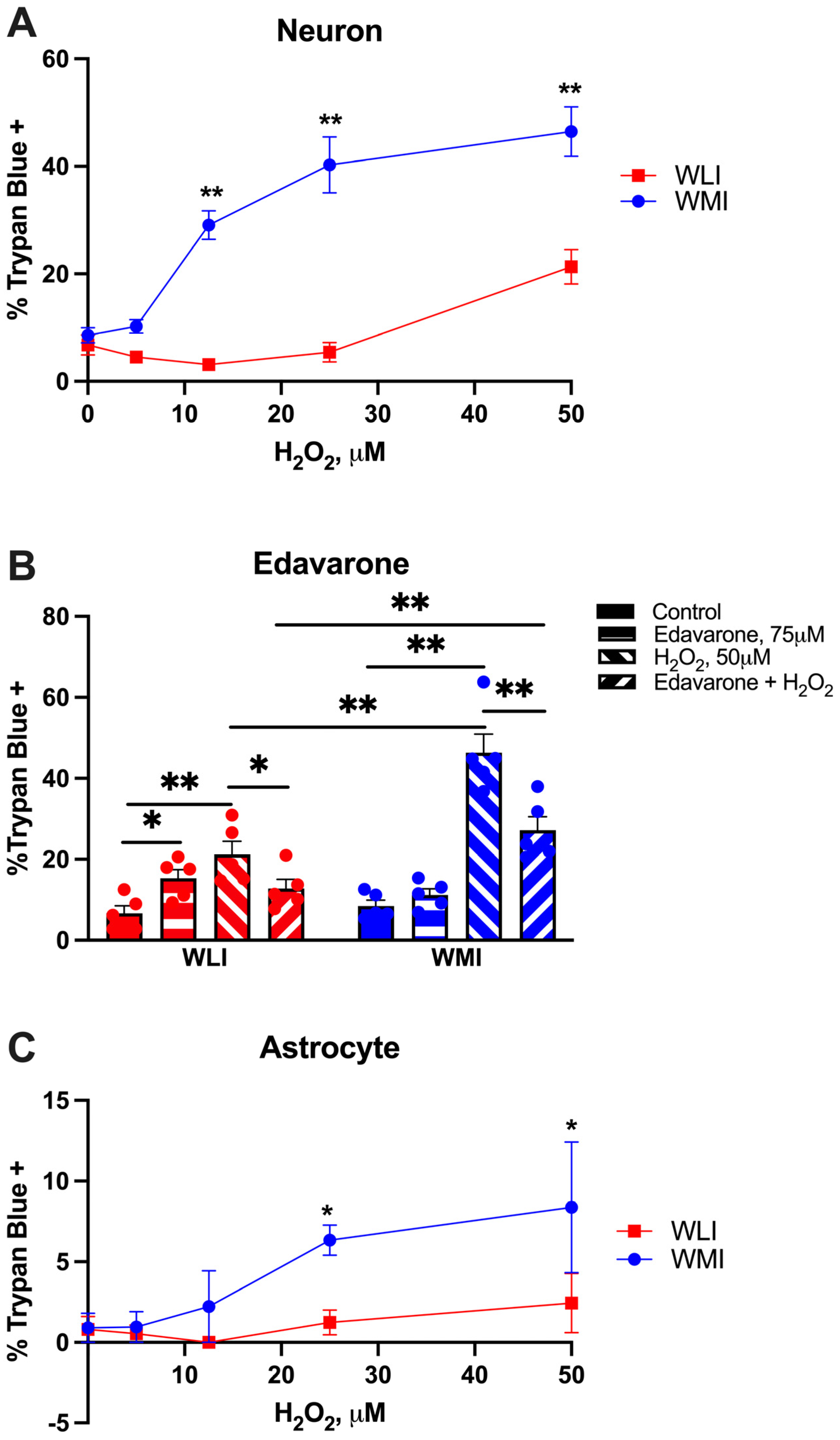 Ijms 25 01692 g001 Ijms 25 01692 g001
