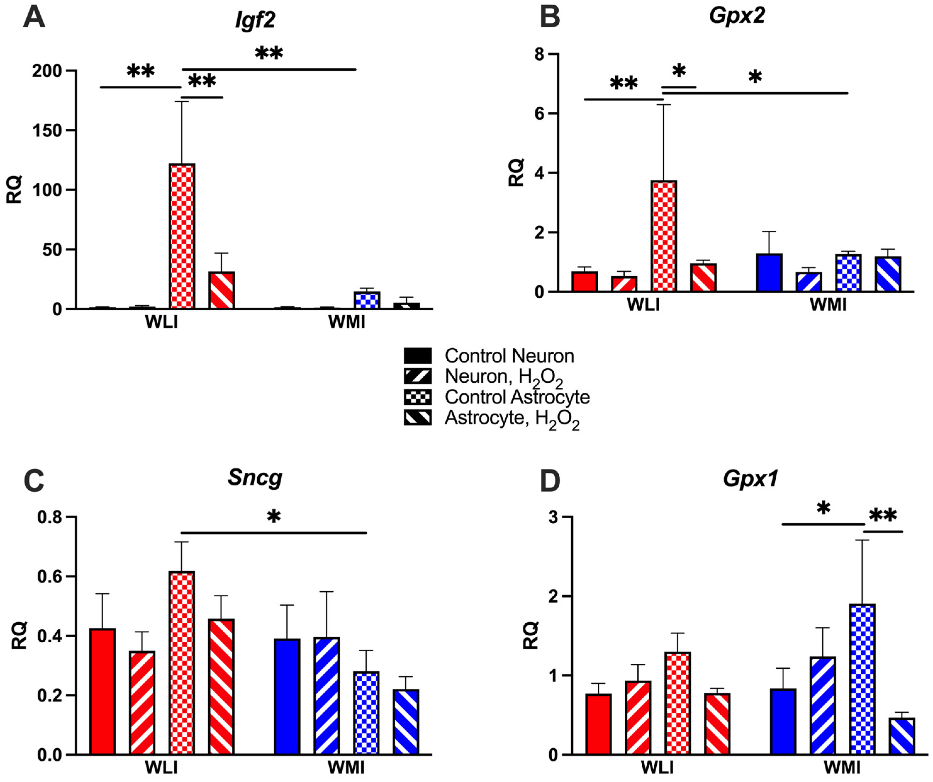 Ijms 25 01692 g003 Ijms 25 01692 g003
