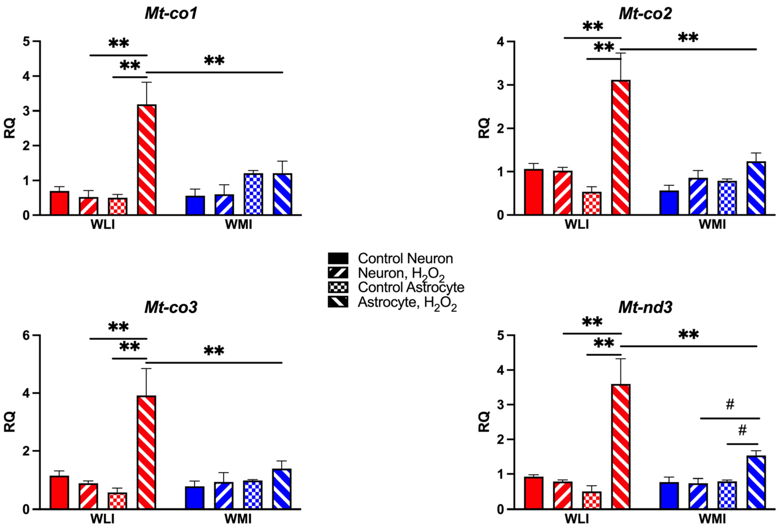 Ijms 25 01692 g004 Ijms 25 01692 g004