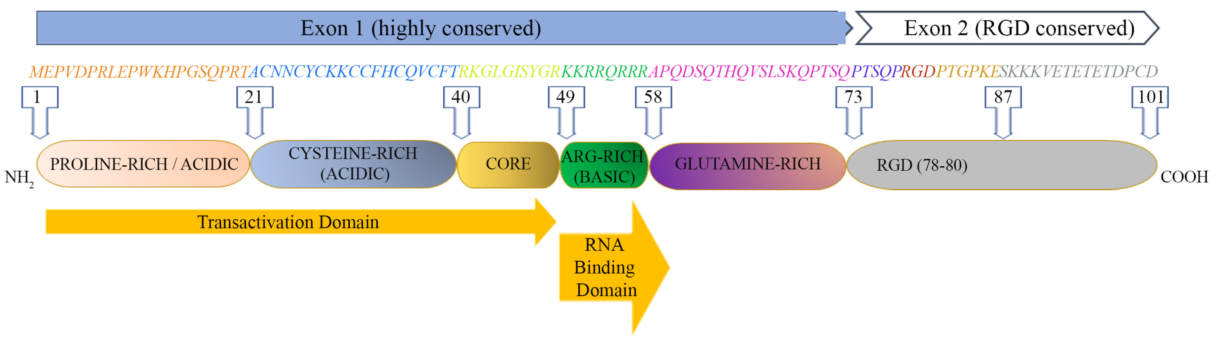 Ijms 25 01704 g001 Ijms 25 01704 g001