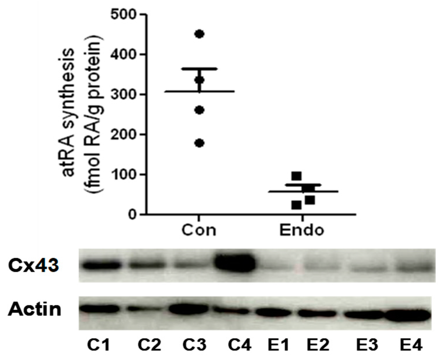 Ijms 25 01709 g004 Ijms 25 01709 g004
