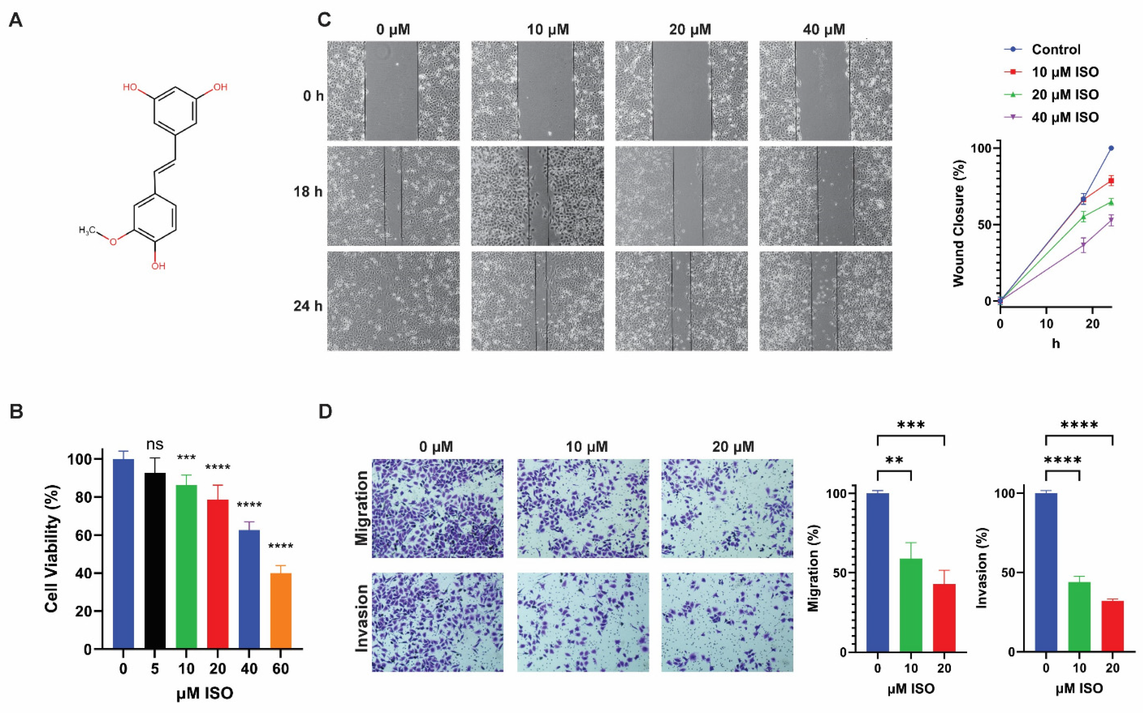 人気新品 Analysis Transcriptome Reveals of Effects Anti-Cancer 乳液・ミルク