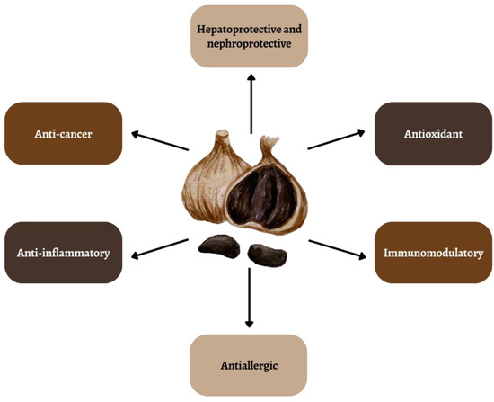 Anti-Cancer and Anti-Inflammatory Properties of Black Garlic