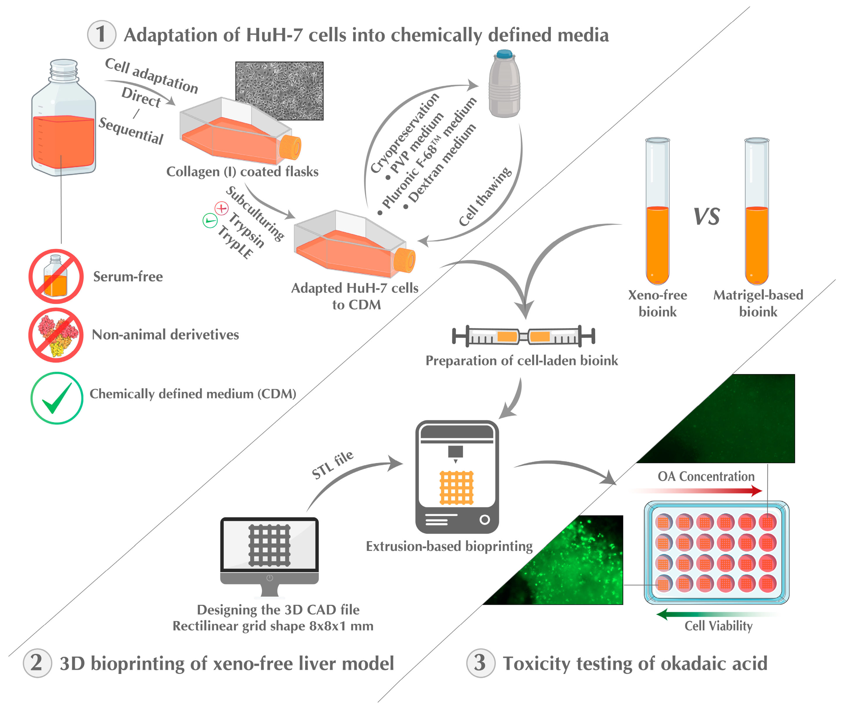 Ijms 25 01811 g001 Ijms 25 01811 g001