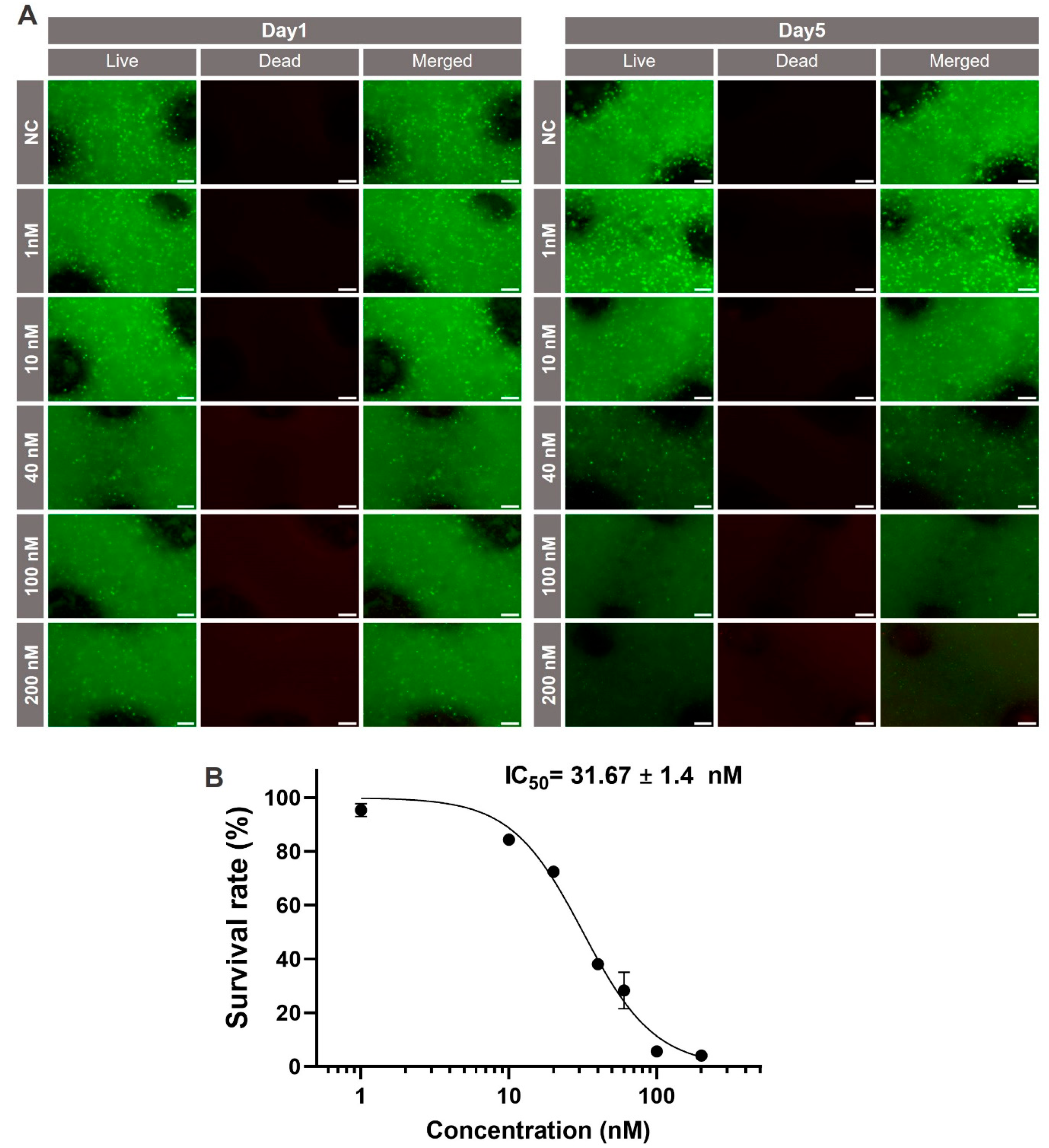 Ijms 25 01811 g009 Ijms 25 01811 g009
