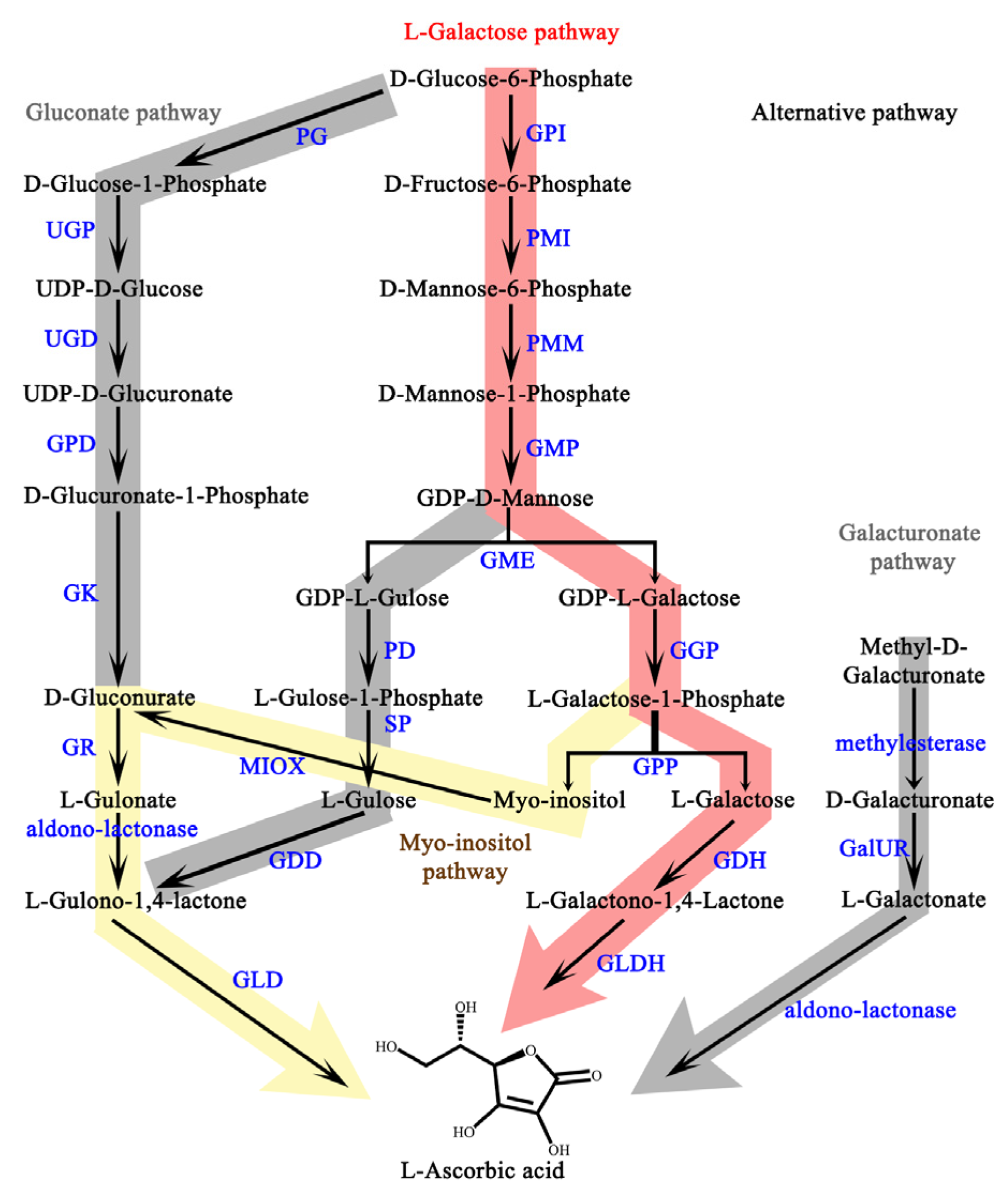 Ijms 25 01832 g0a1 Ijms 25 01832 g0a1