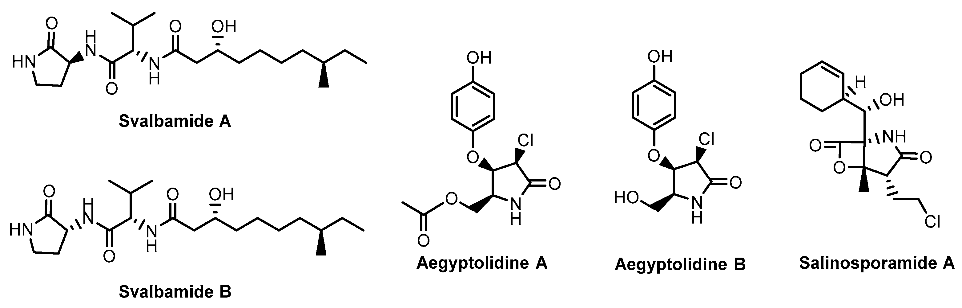 Ijms 25 01834 g001 Ijms 25 01834 g001