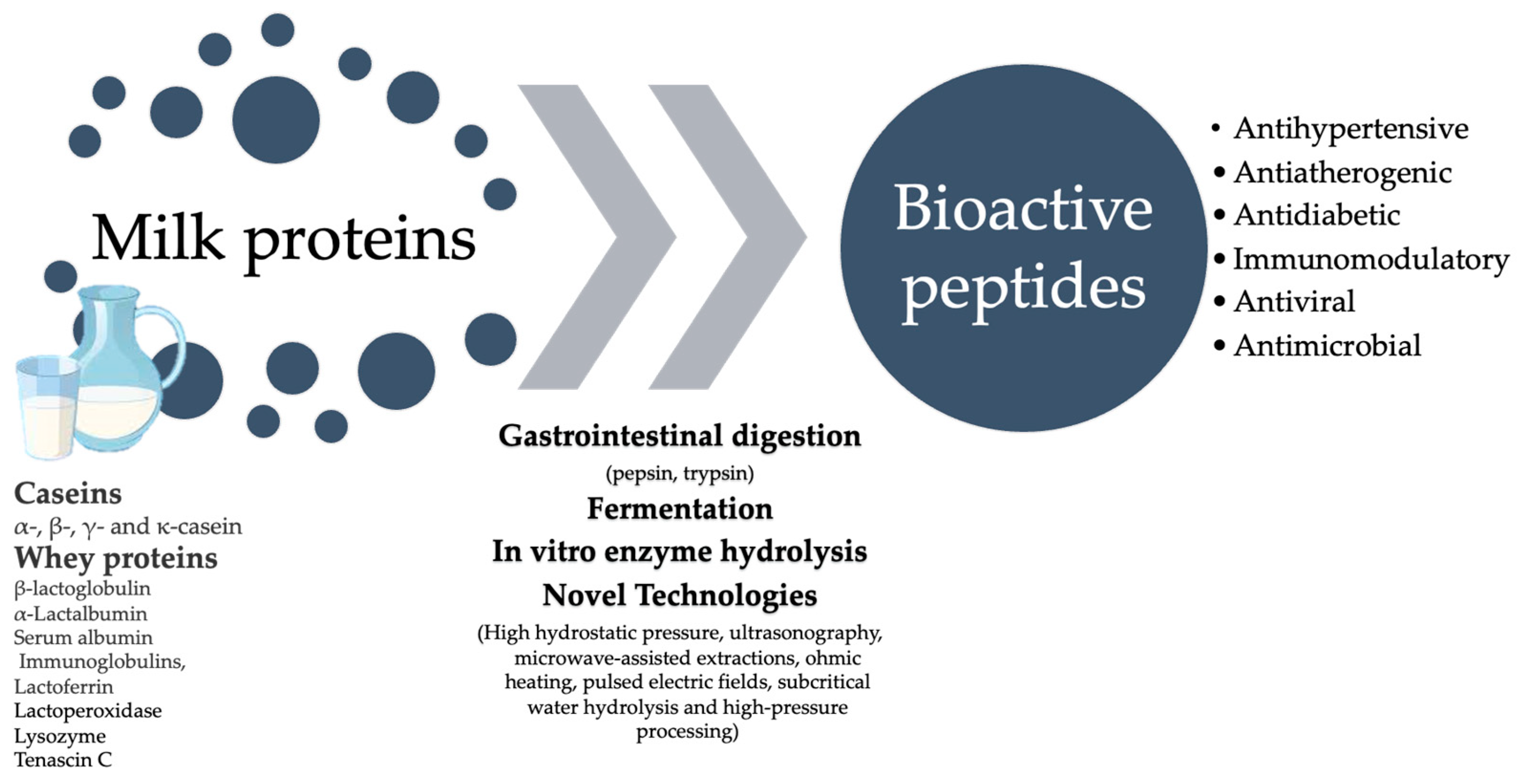 Ijms 25 01842 g001 Ijms 25 01842 g001