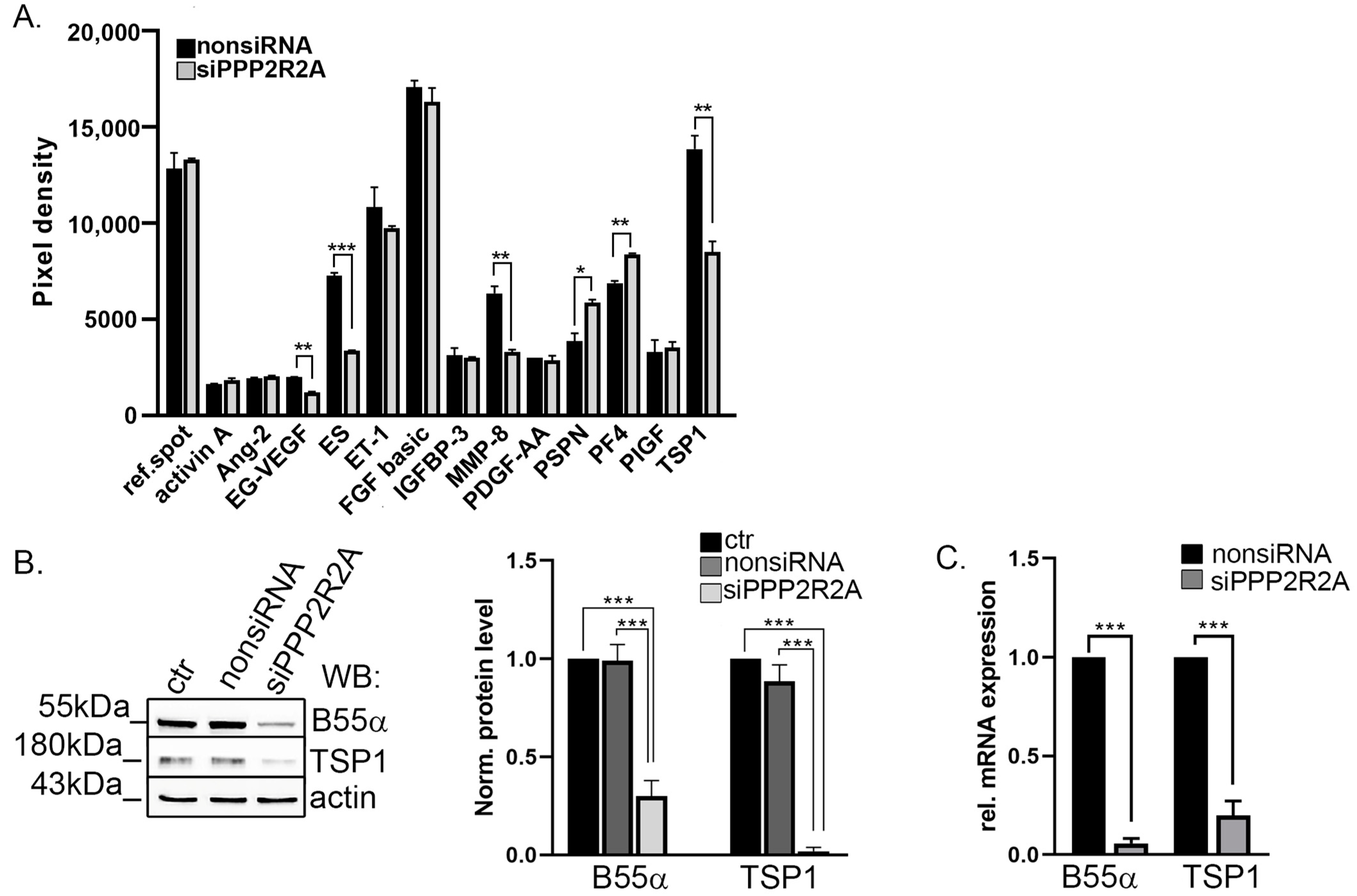 Ijms 25 01844 g001 Ijms 25 01844 g001