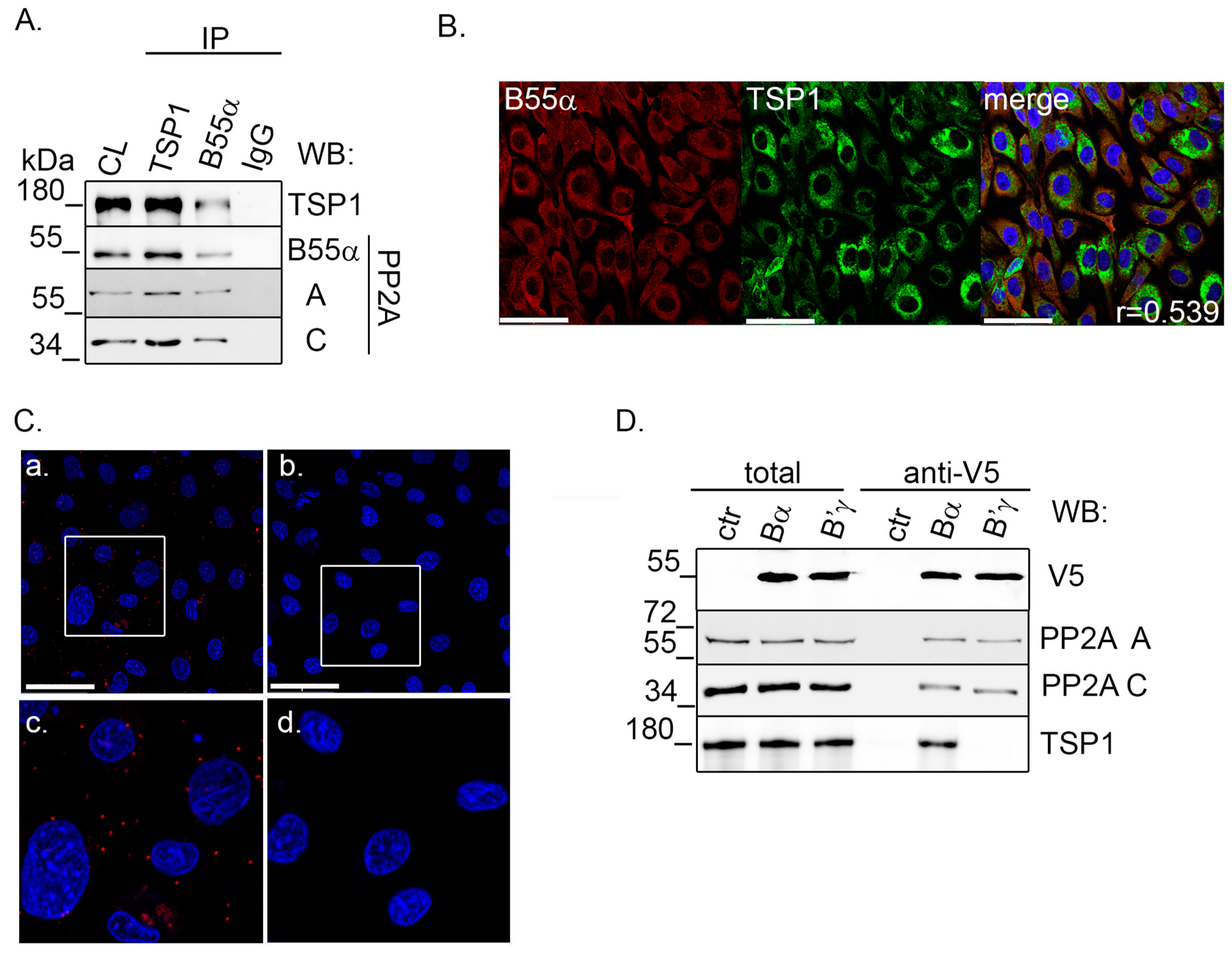 Ijms 25 01844 g002 Ijms 25 01844 g002