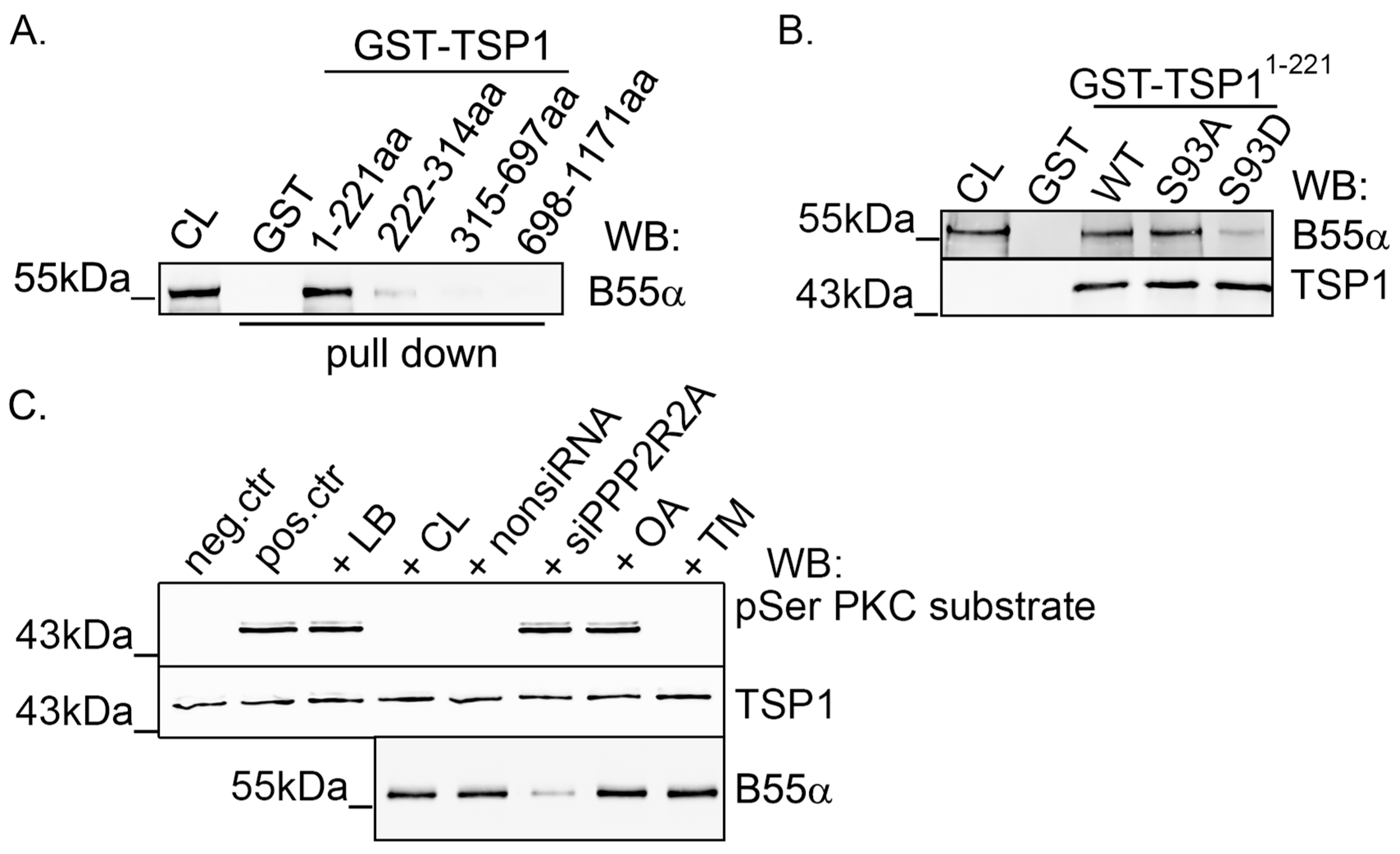 Ijms 25 01844 g005 Ijms 25 01844 g005