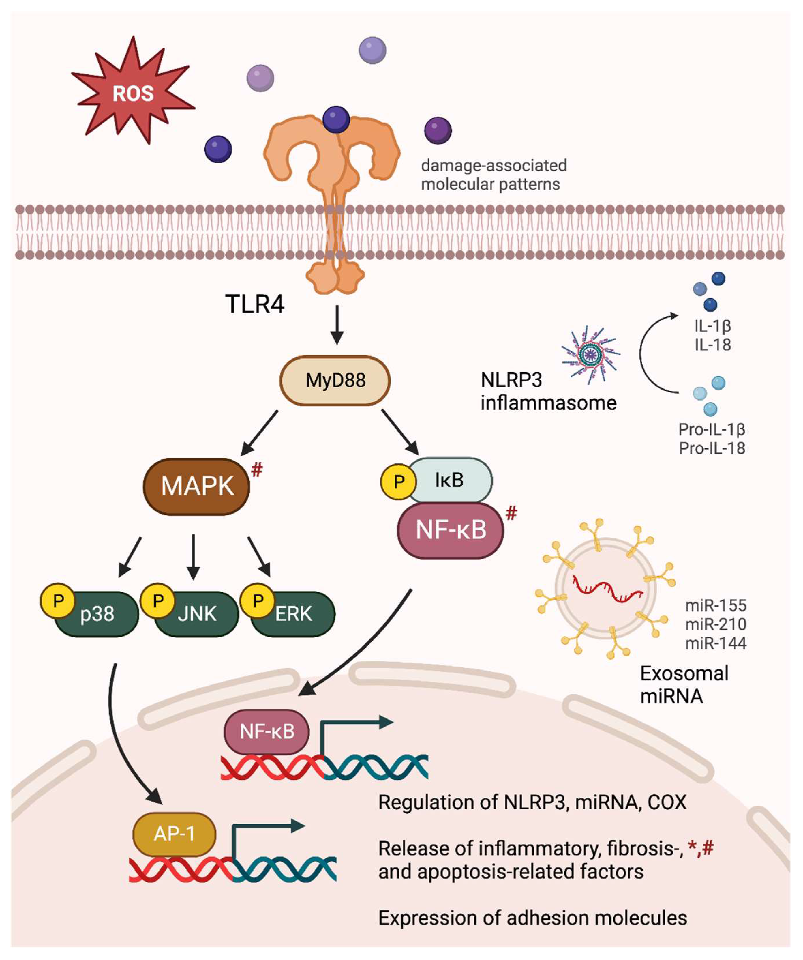 Ijms 25 01852 g001 Ijms 25 01852 g001