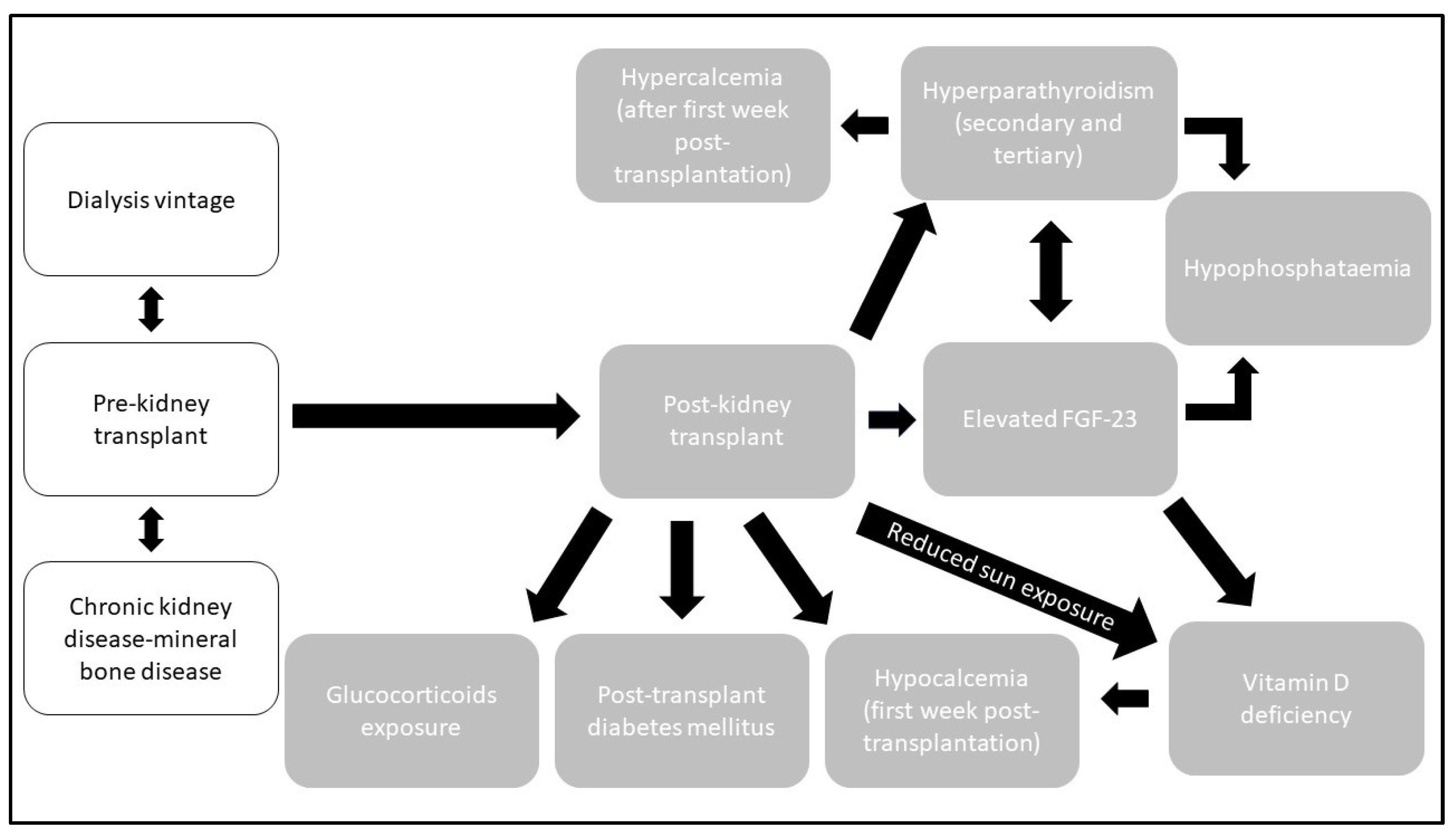 Ijms 25 01859 g001 Ijms 25 01859 g001
