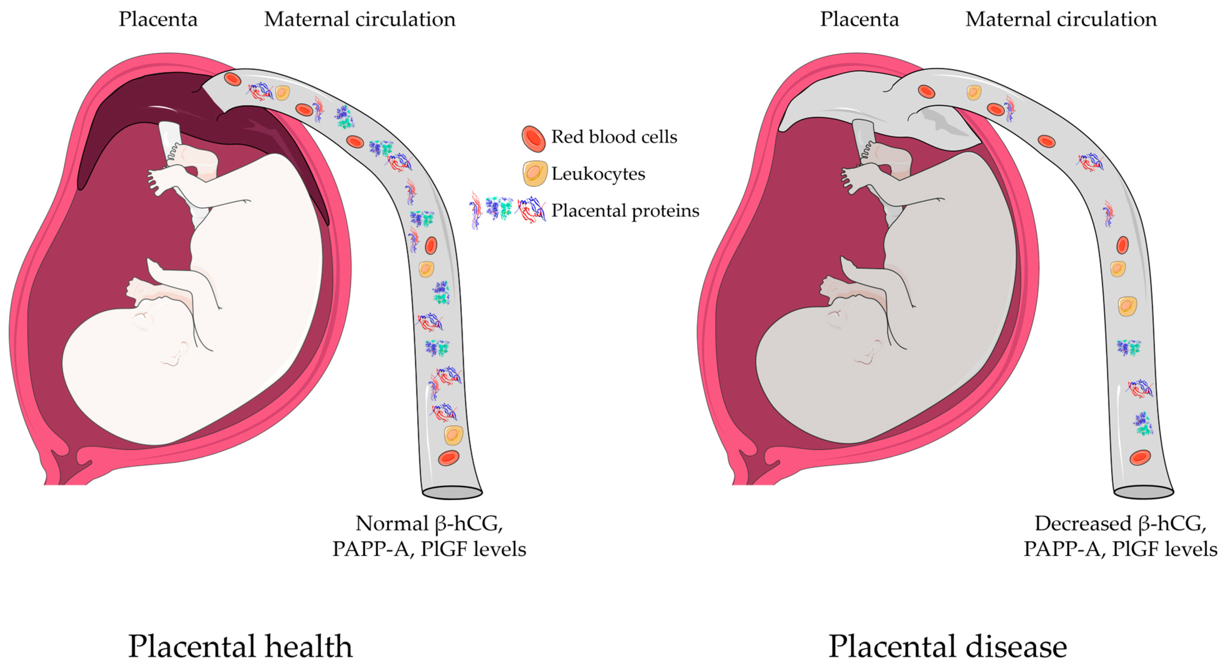 Ijms 25 01865 g006 Ijms 25 01865 g006