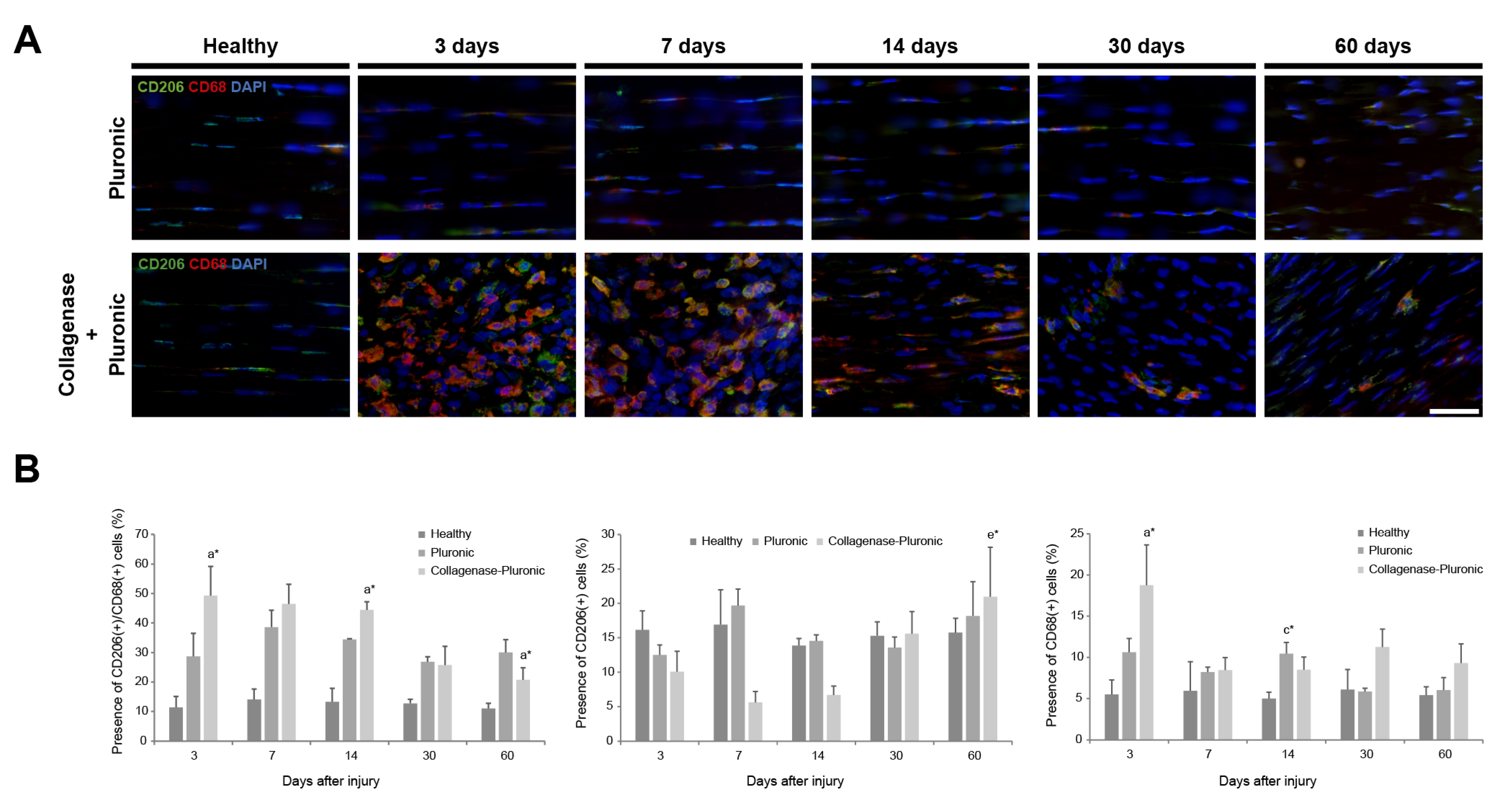 Ijms 25 01868 g004 Ijms 25 01868 g004
