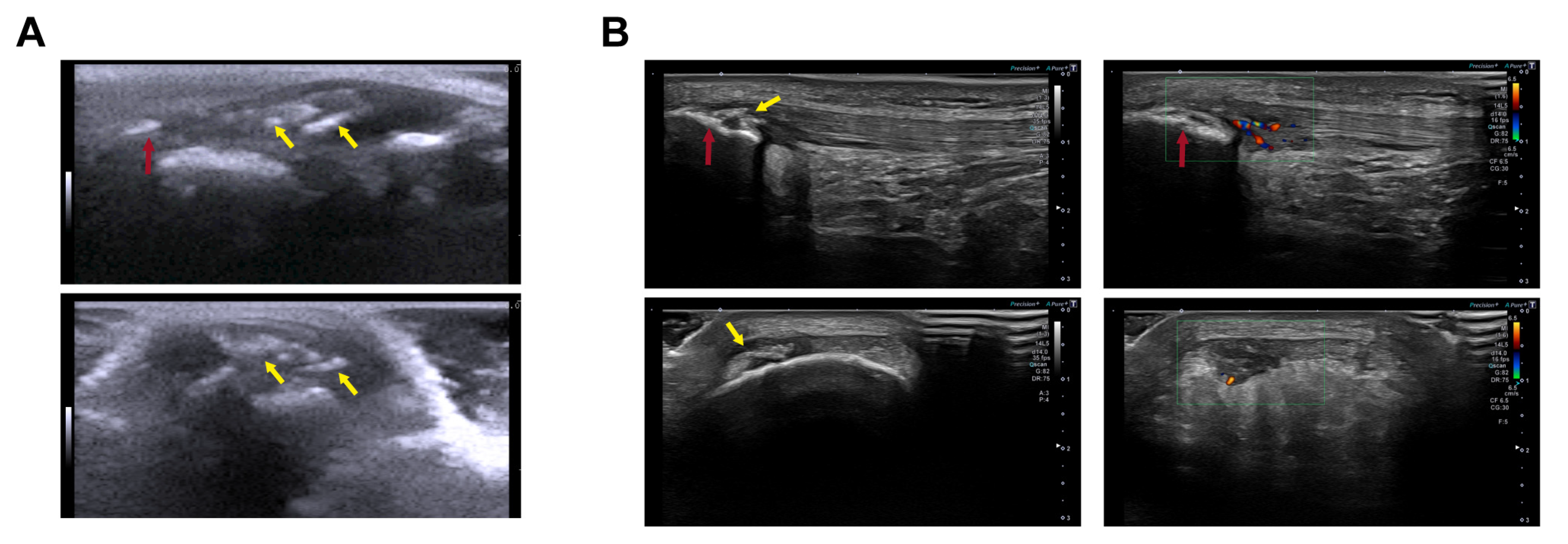 Ijms 25 01868 g006 Ijms 25 01868 g006