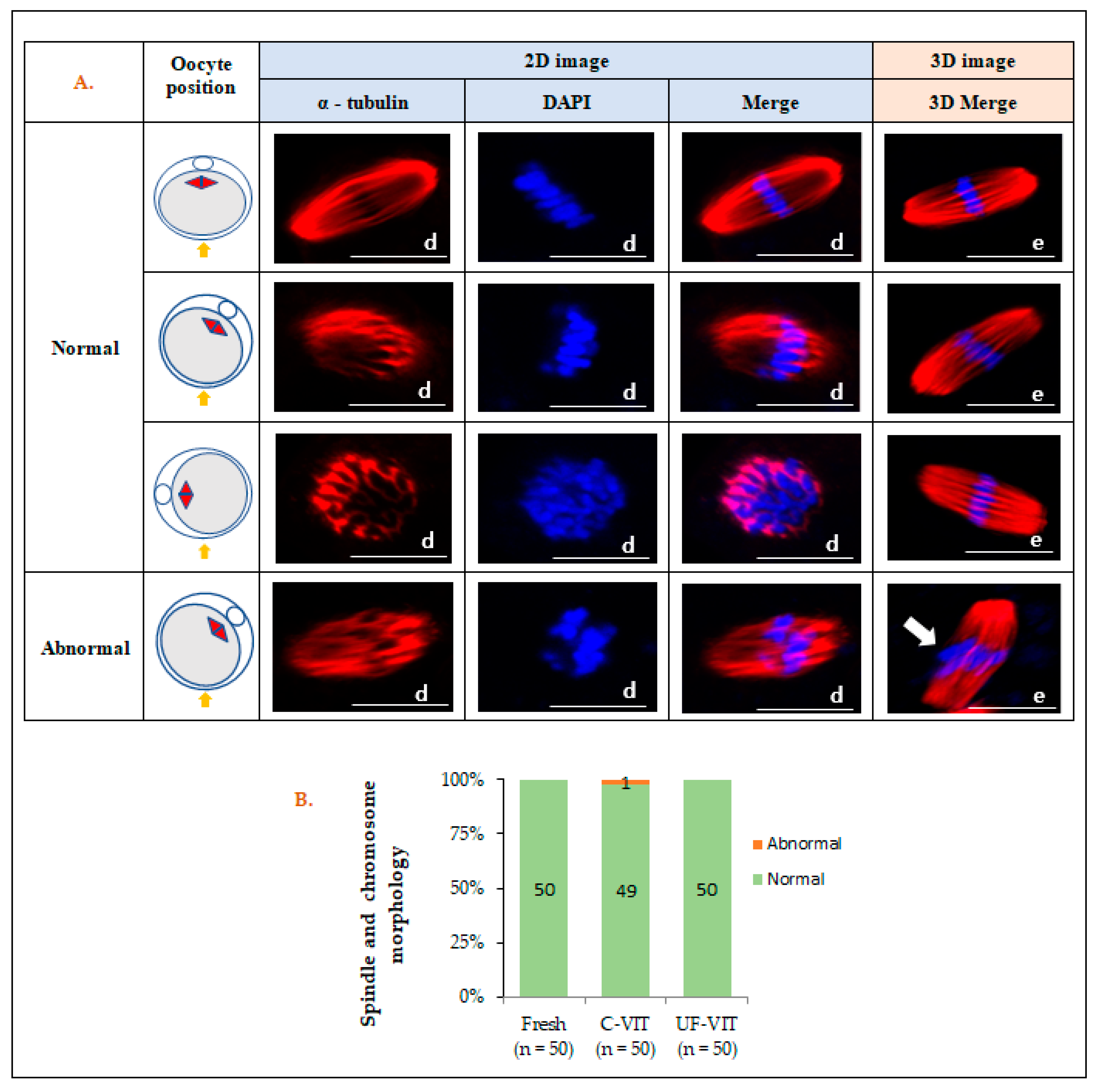 Ijms 25 01884 g003 Ijms 25 01884 g003