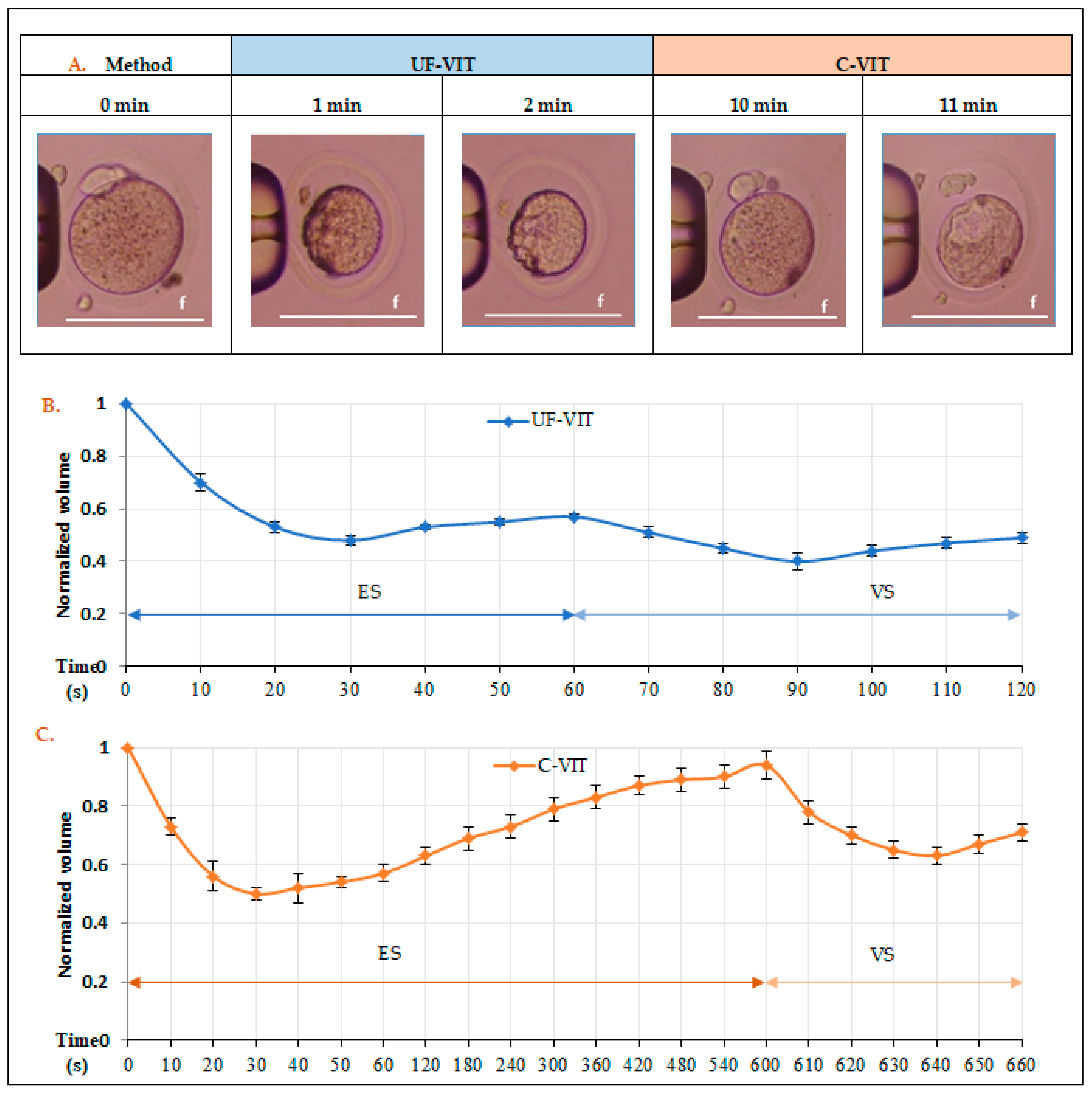 Ijms 25 01884 g004 Ijms 25 01884 g004