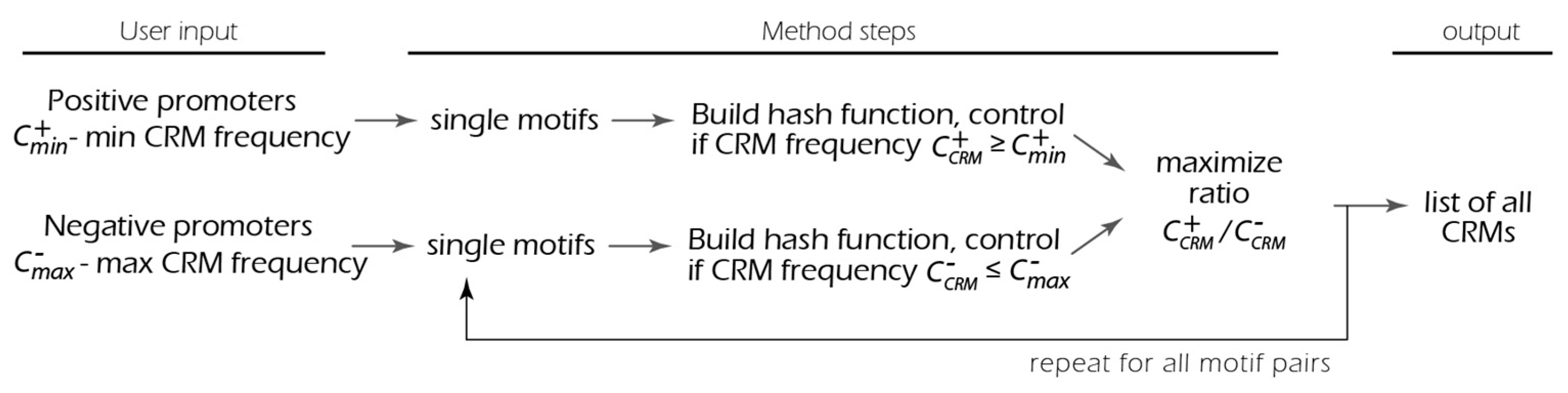 Ijms 25 01903 g001 Ijms 25 01903 g001