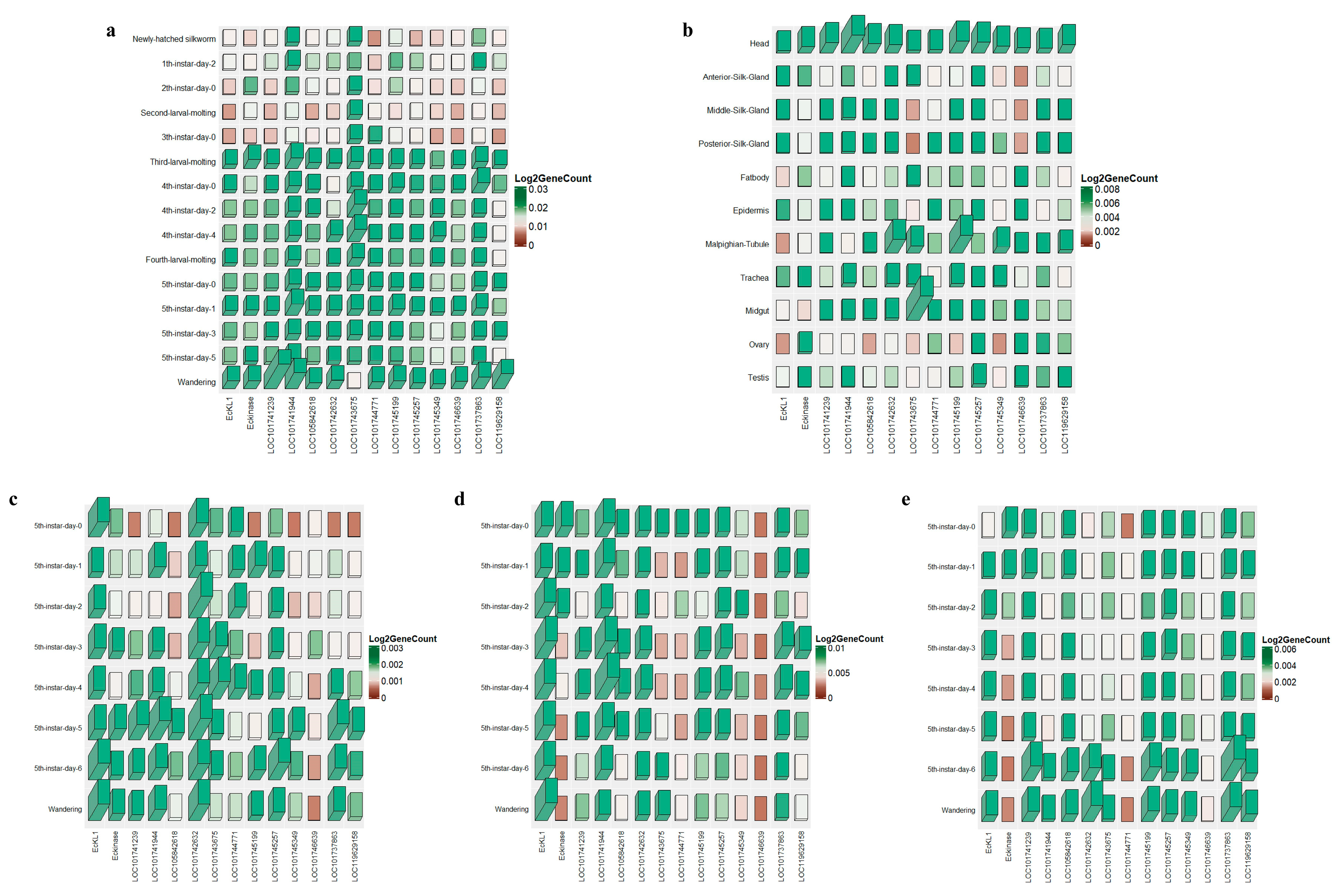 Ijms 25 01907 g001 Ijms 25 01907 g001