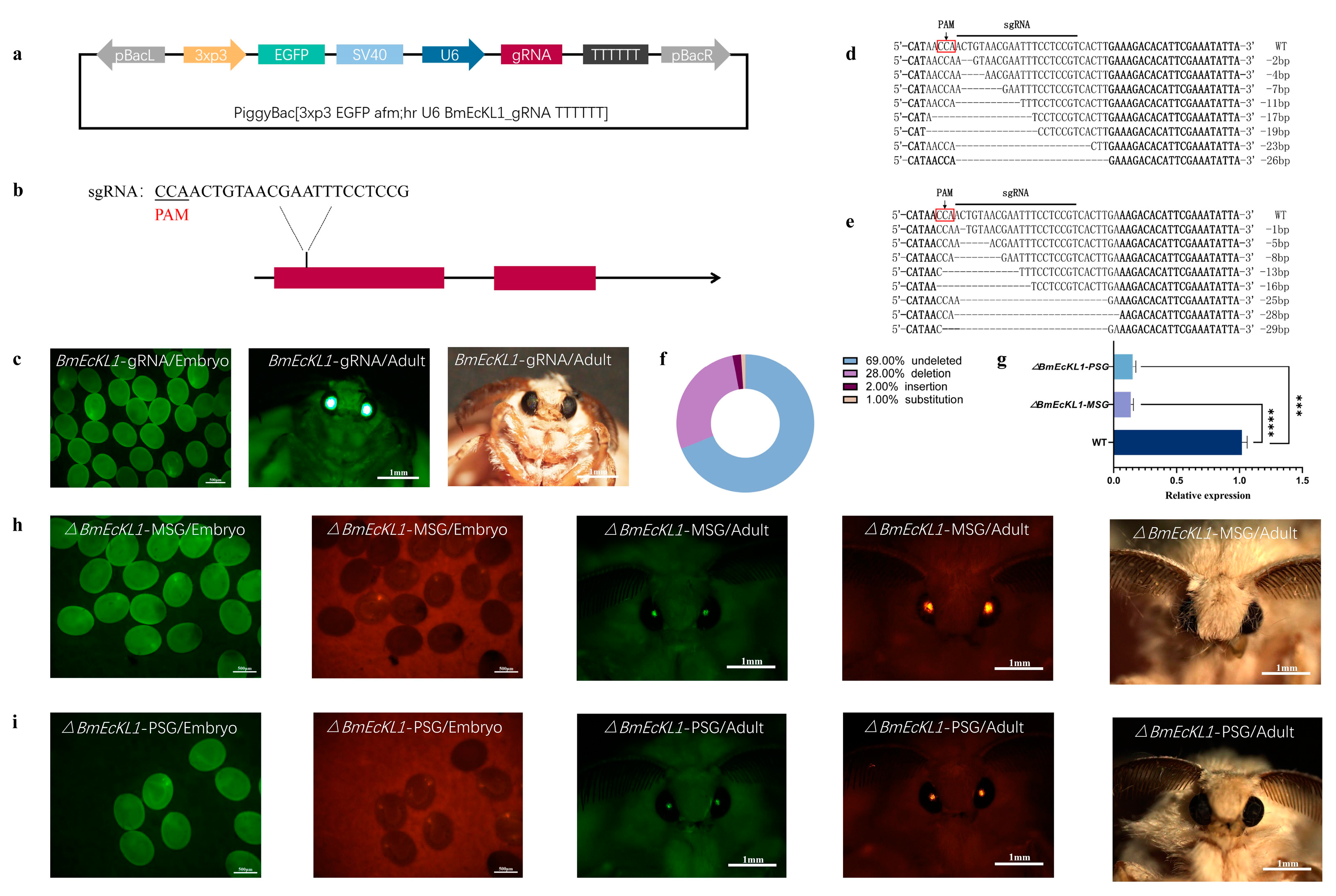Ijms 25 01907 g002 Ijms 25 01907 g002