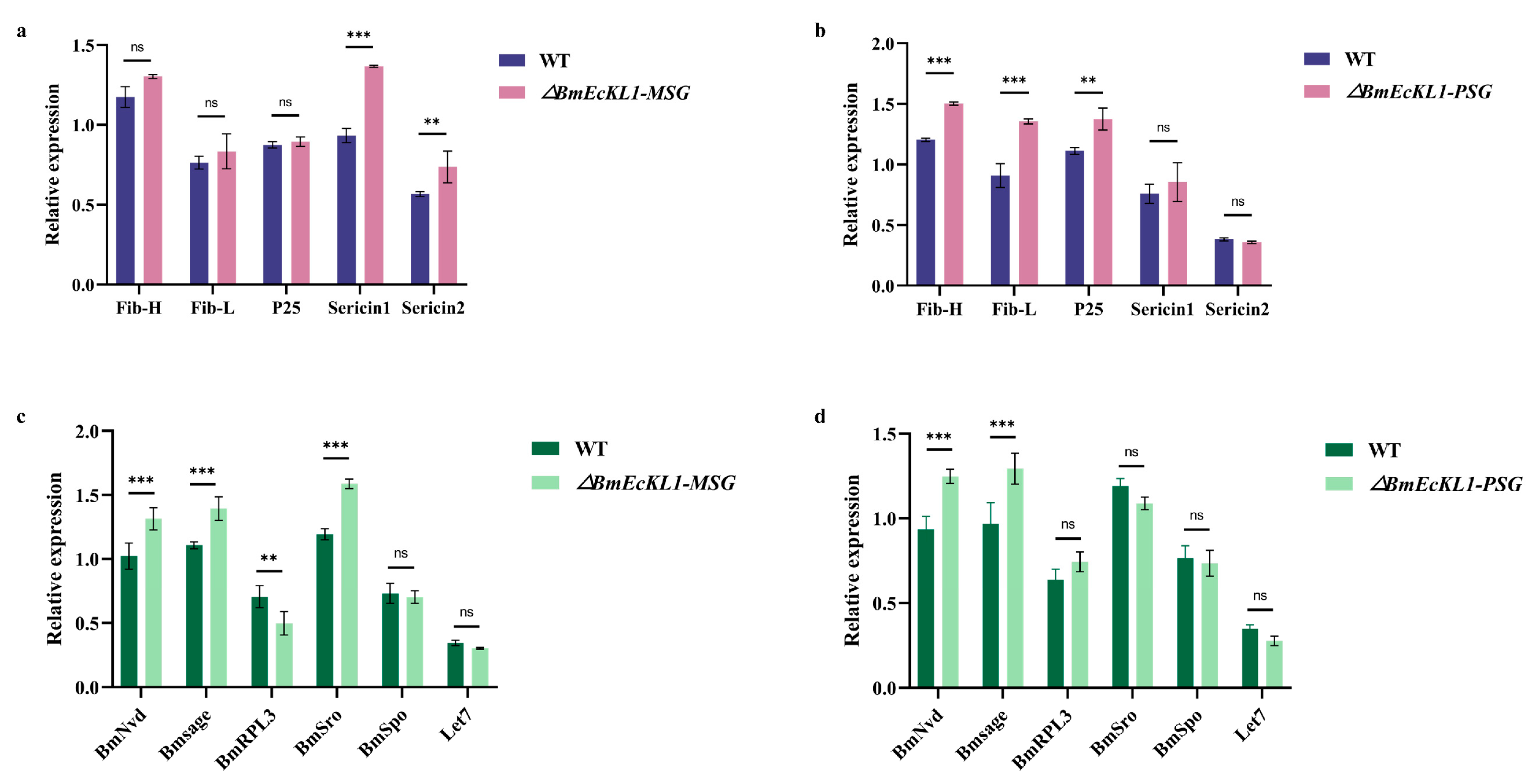Ijms 25 01907 g006 Ijms 25 01907 g006