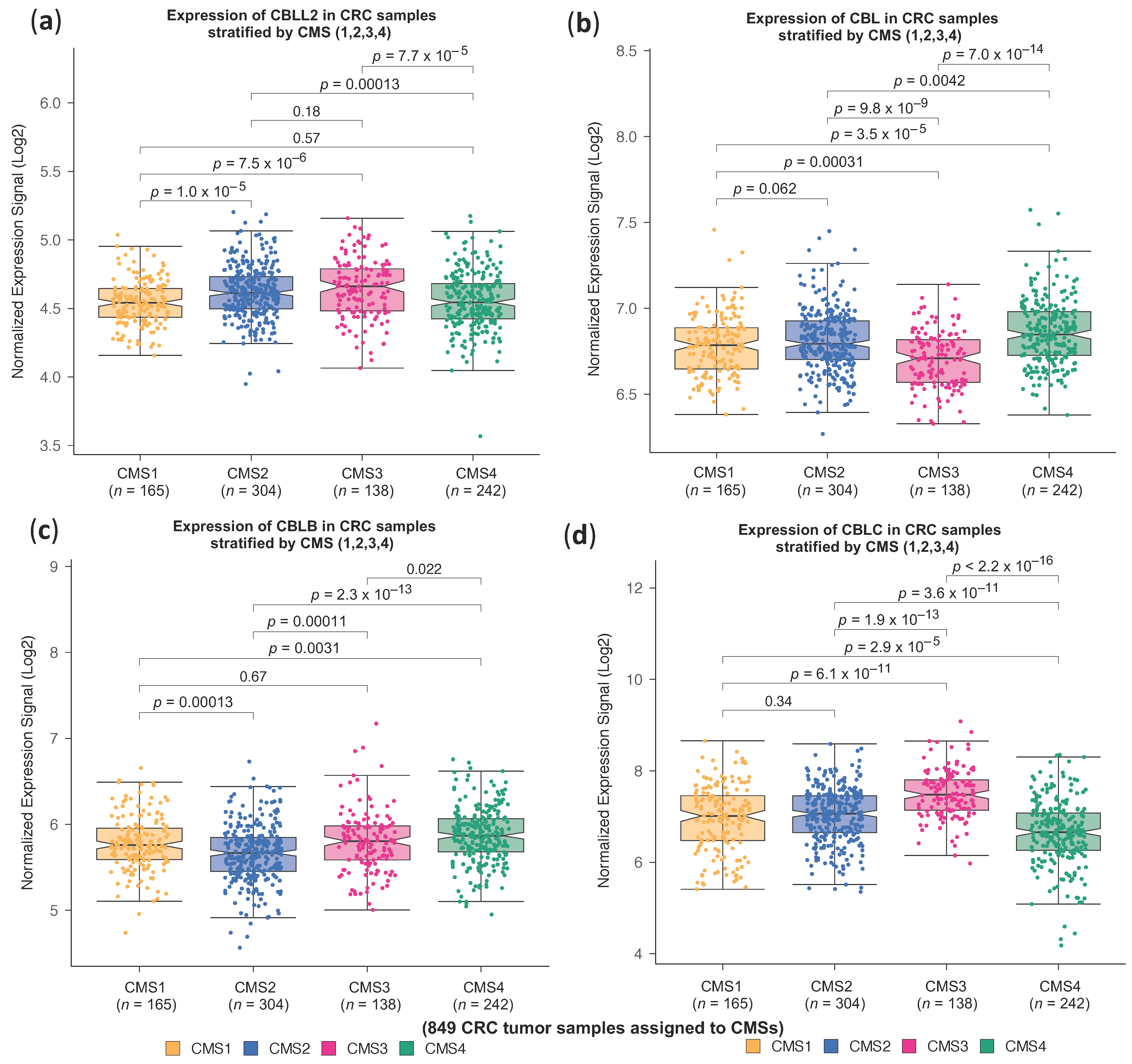 Ijms 25 01919 g002 Ijms 25 01919 g002