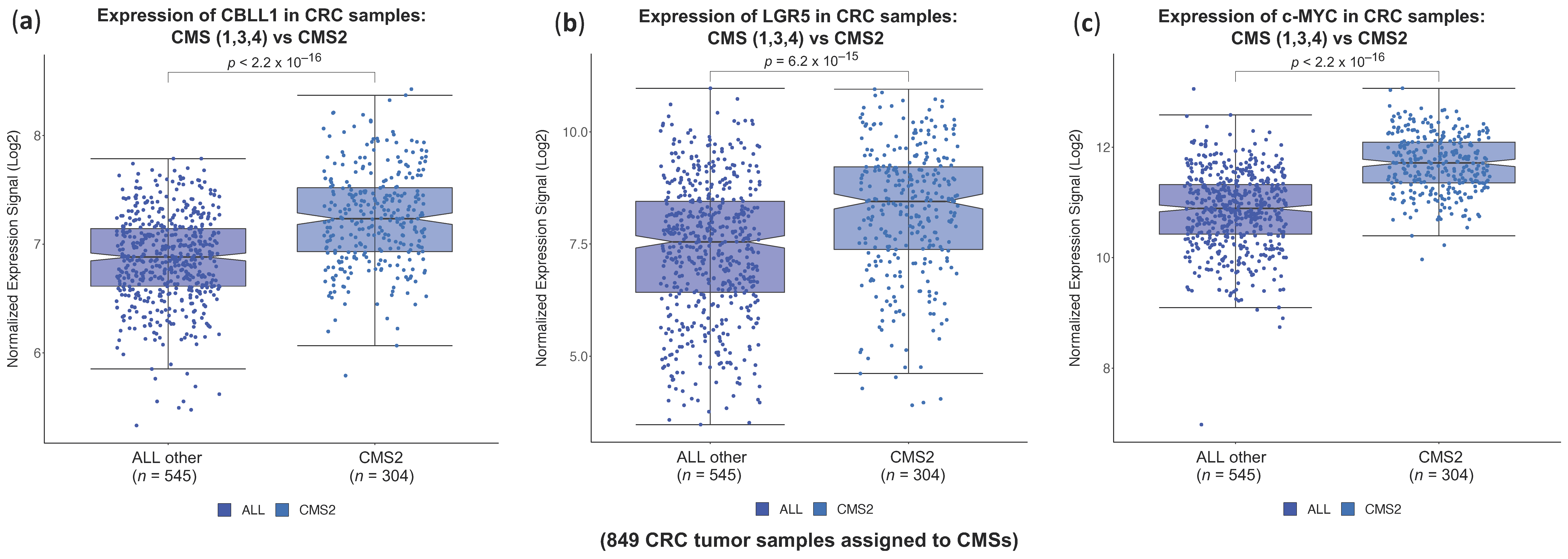 Ijms 25 01919 g003 Ijms 25 01919 g003