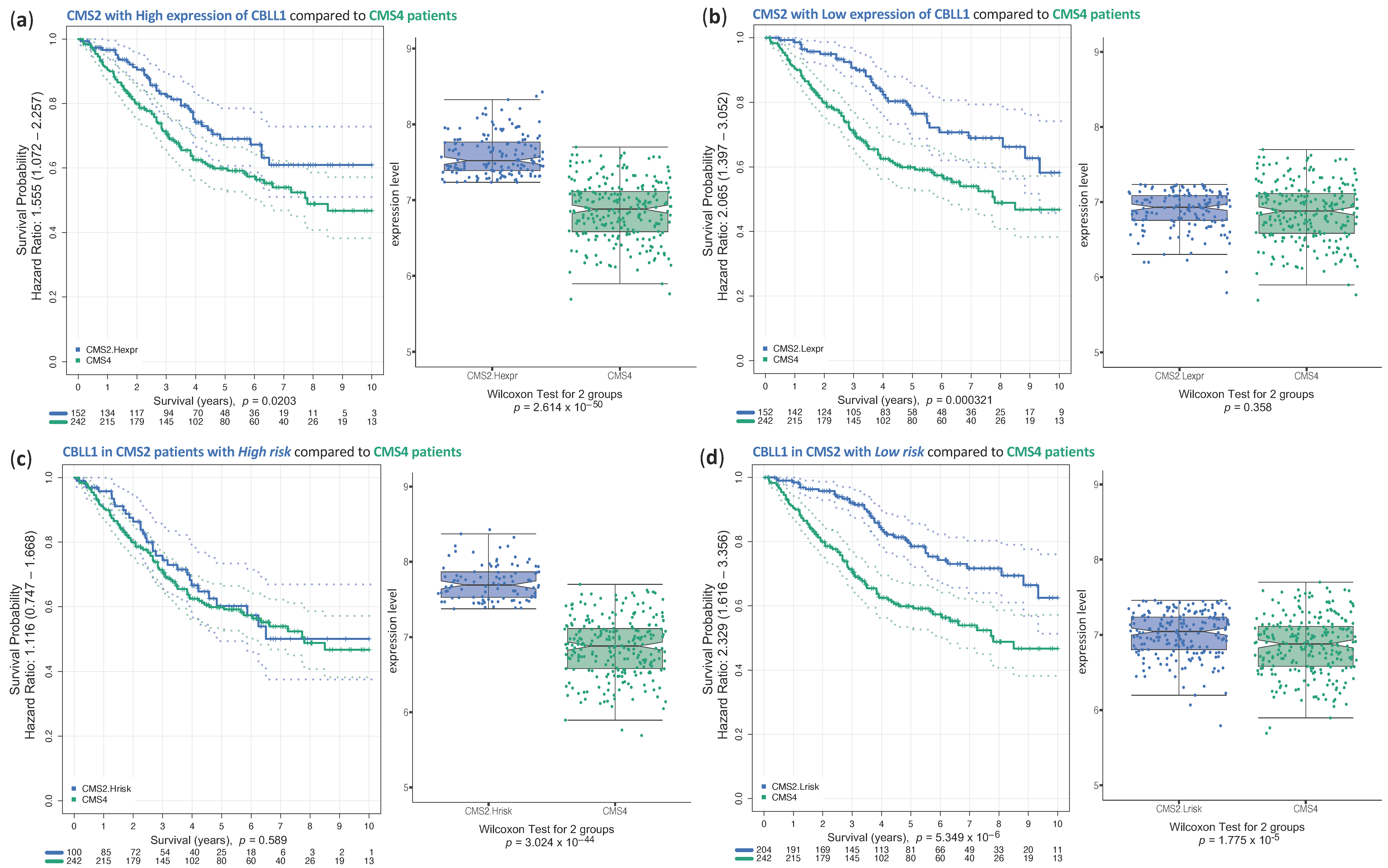 Ijms 25 01919 g007 Ijms 25 01919 g007