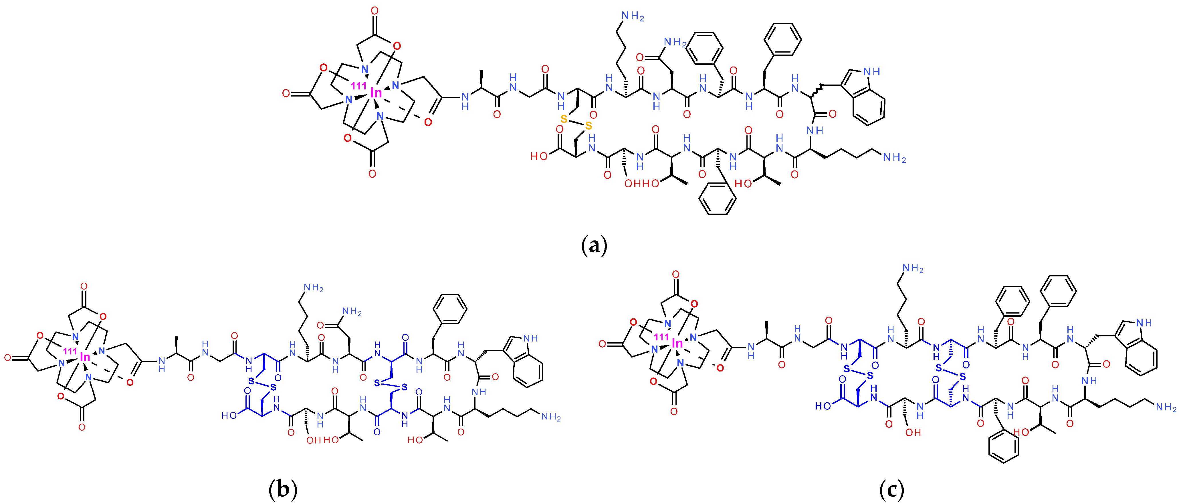 Ijms 25 01921 g001 Ijms 25 01921 g001