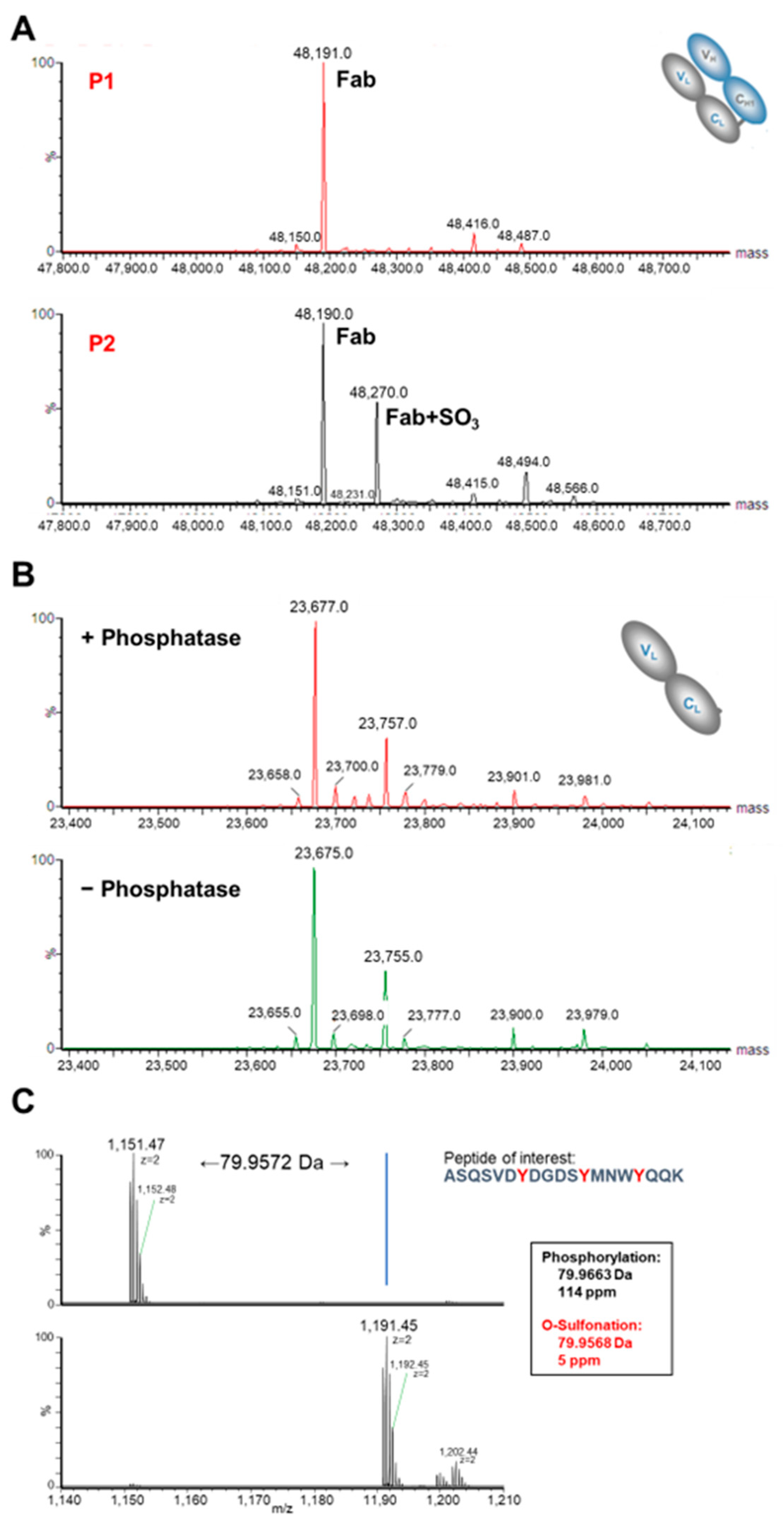 Ijms 25 01931 g005 Ijms 25 01931 g005