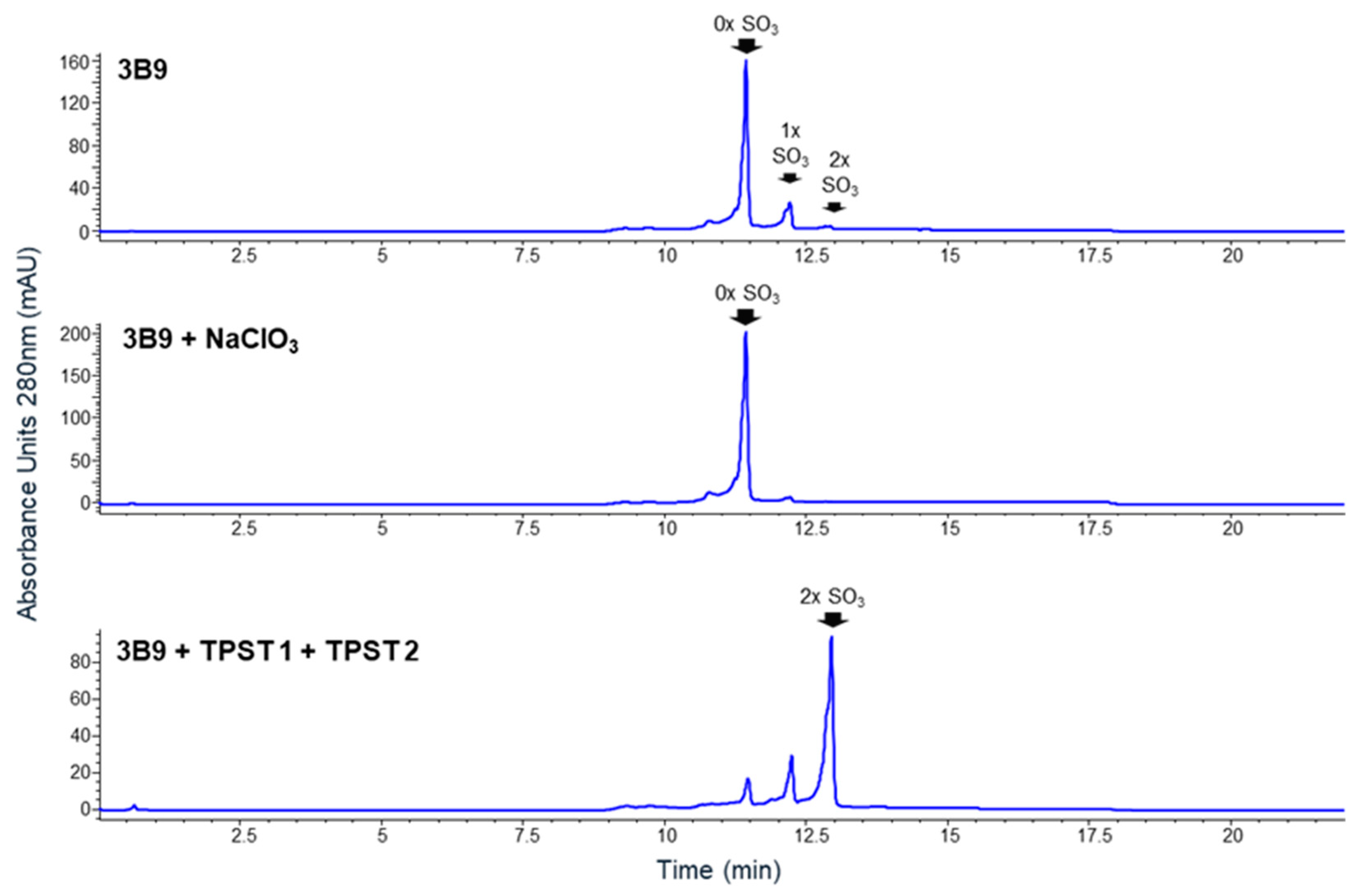 Ijms 25 01931 g006 Ijms 25 01931 g006