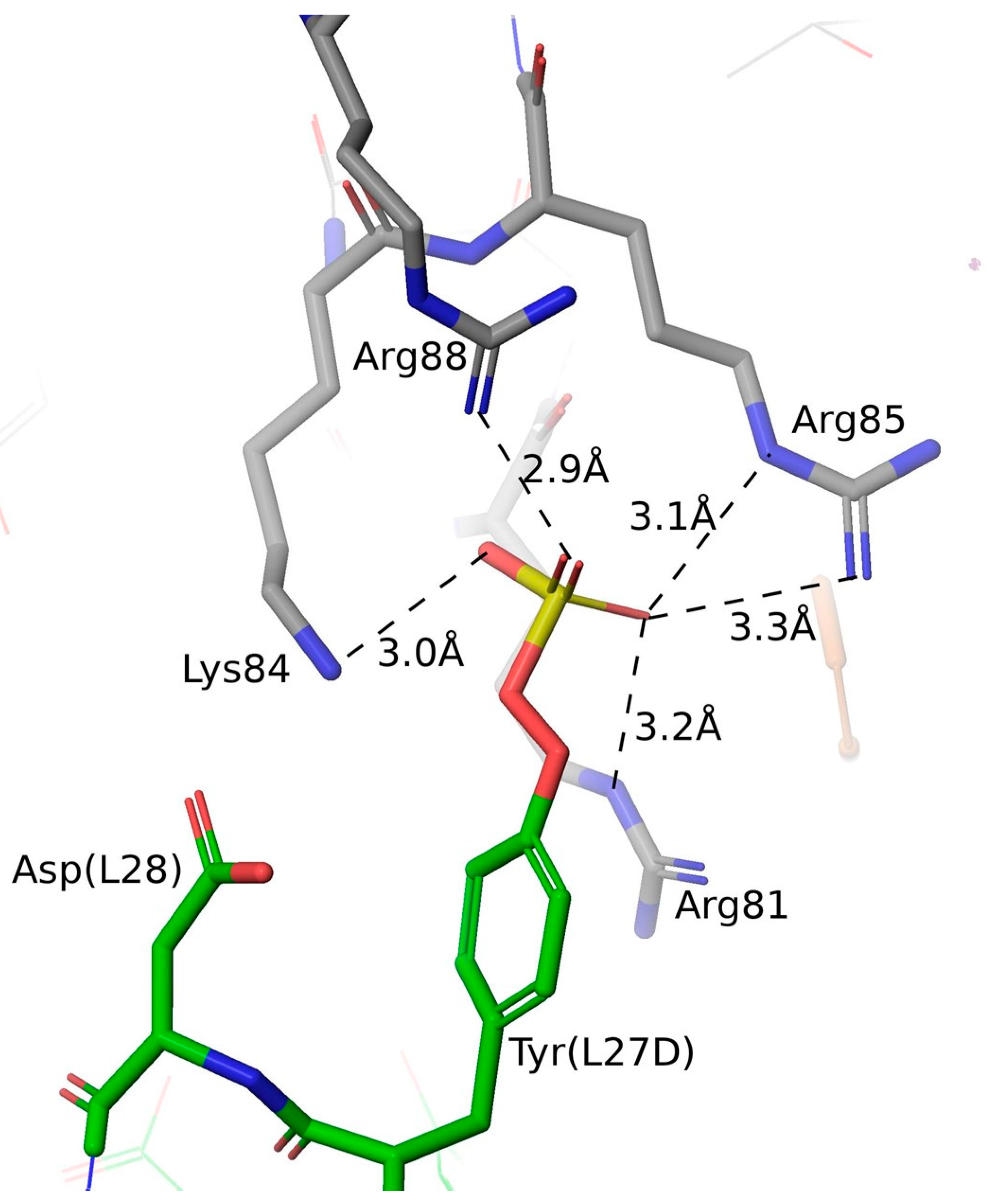 Ijms 25 01931 g008 Ijms 25 01931 g008