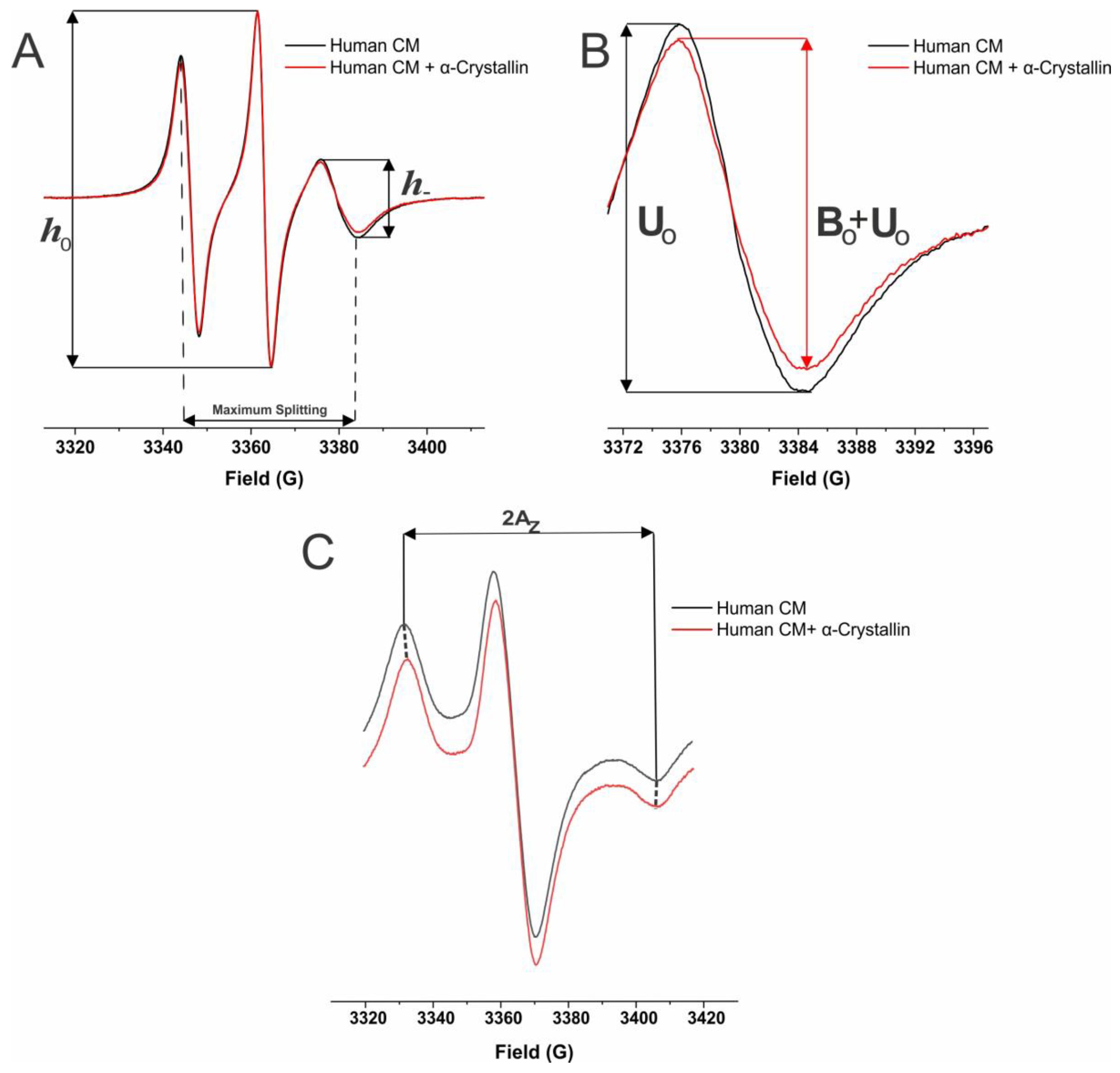 Ijms 25 01936 g009 Ijms 25 01936 g009