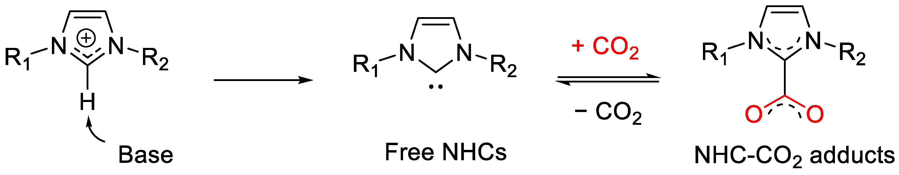 Ijms 25 01937 sch001