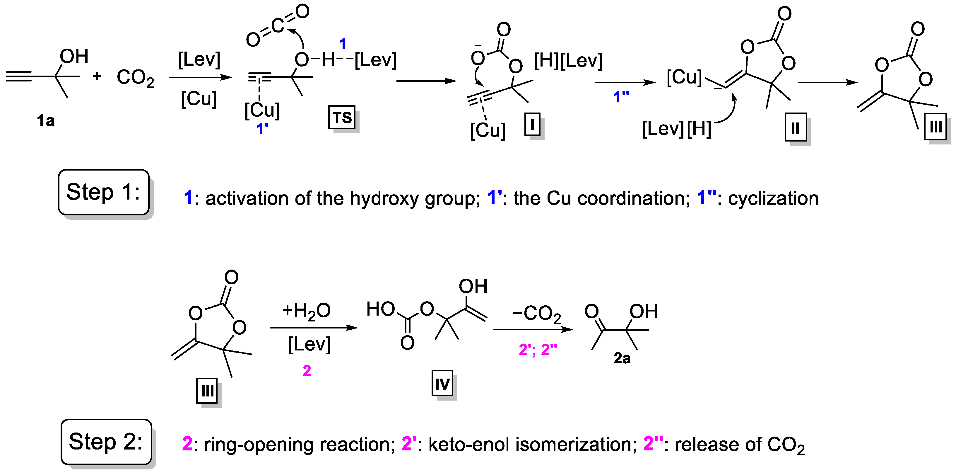 Ijms 25 01937 sch003